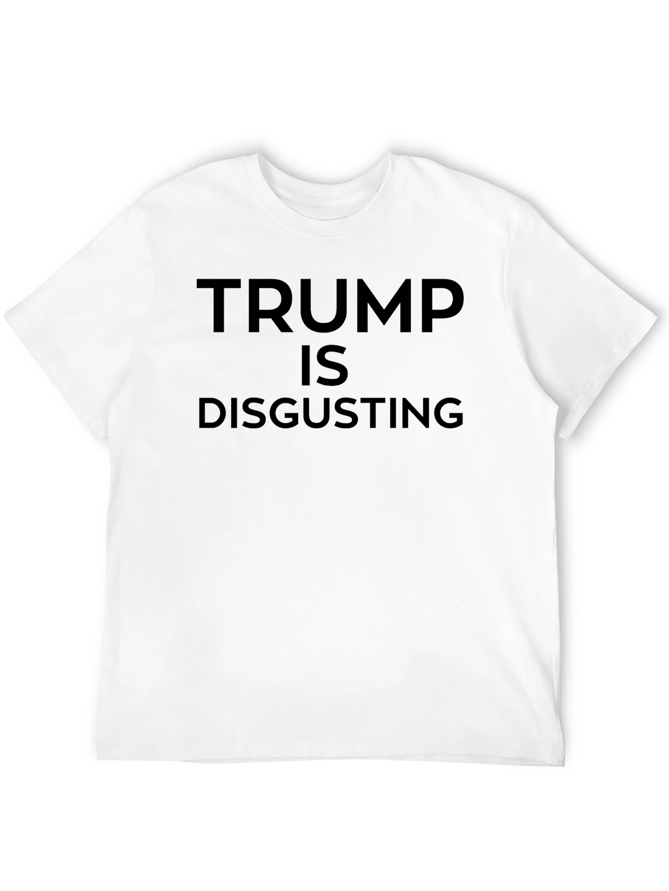 Political Statement Tee: Trump Is Disgusting