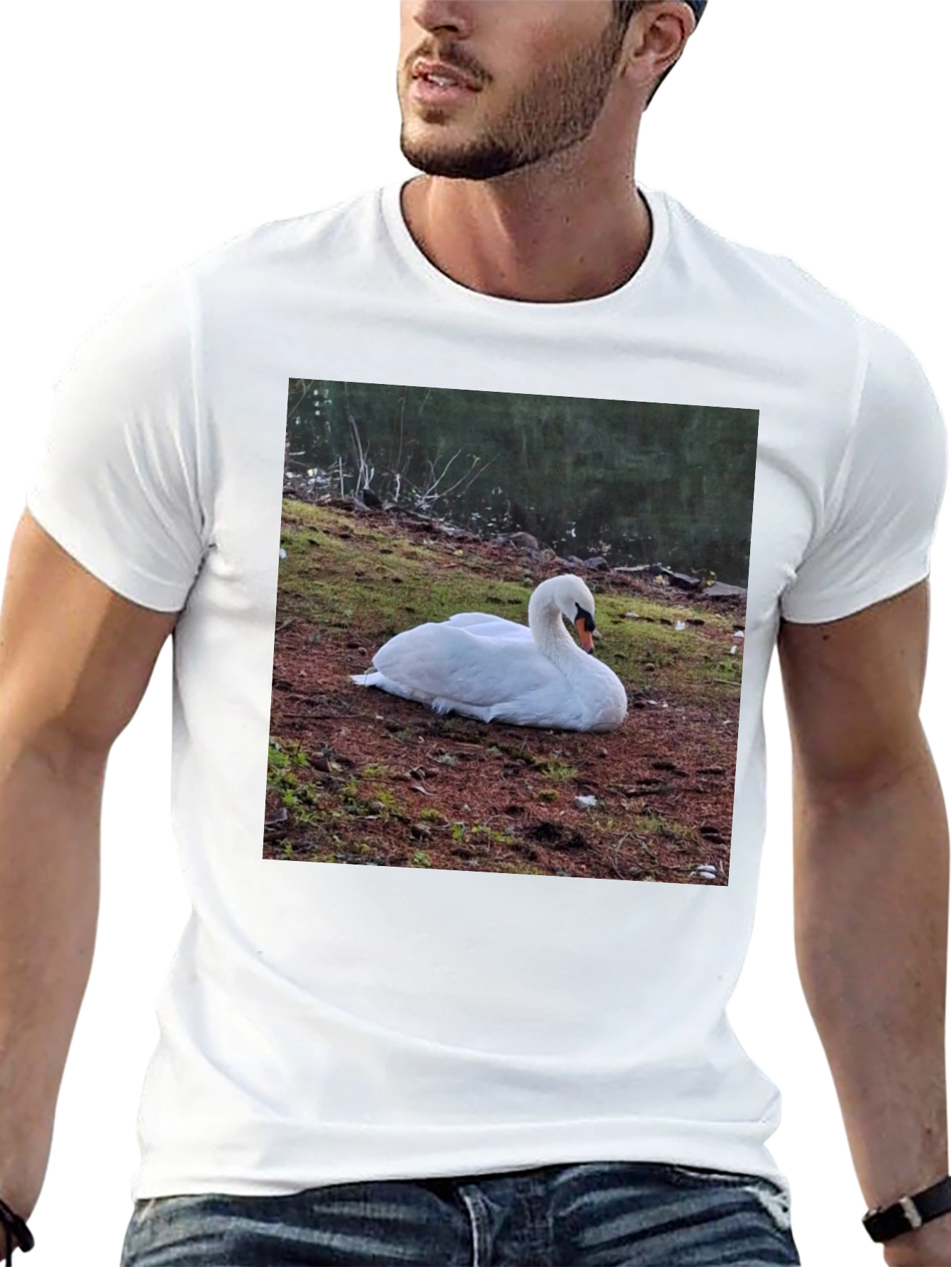 Swan Graphic Tee - Unique Nature Lovers Shirt