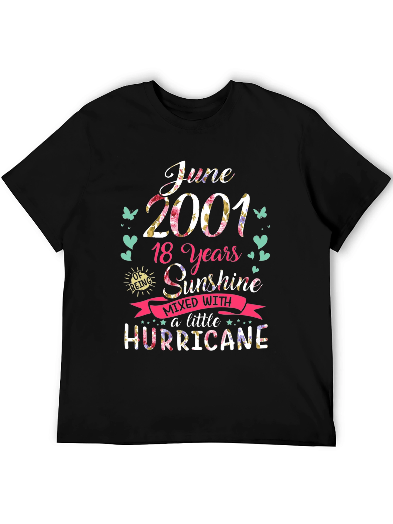 June 2001 T-Shirt: 18 Years Sunshine & Hurricane Tee