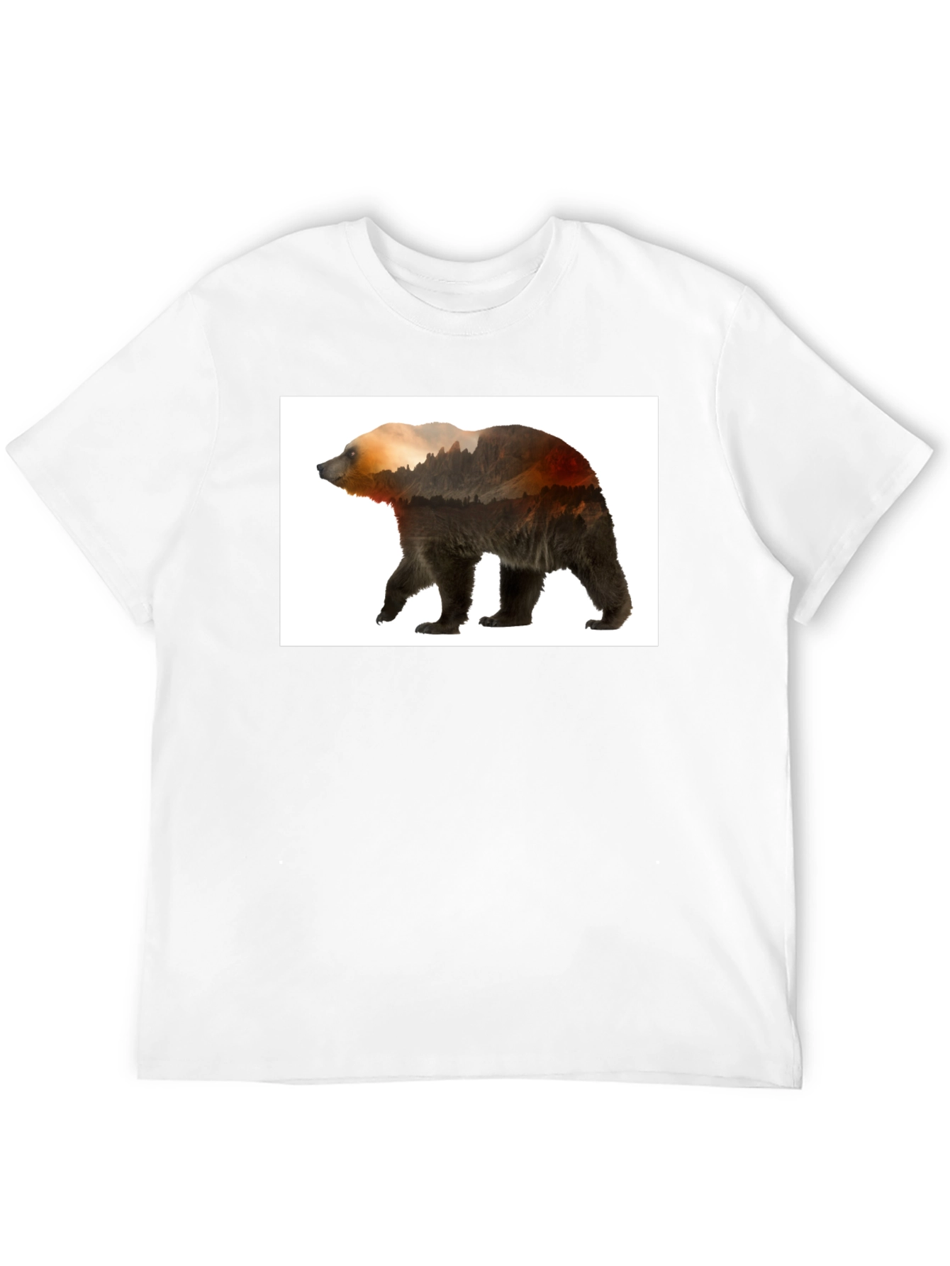 Nature Bear Graphic Tee - Black Casual Wear