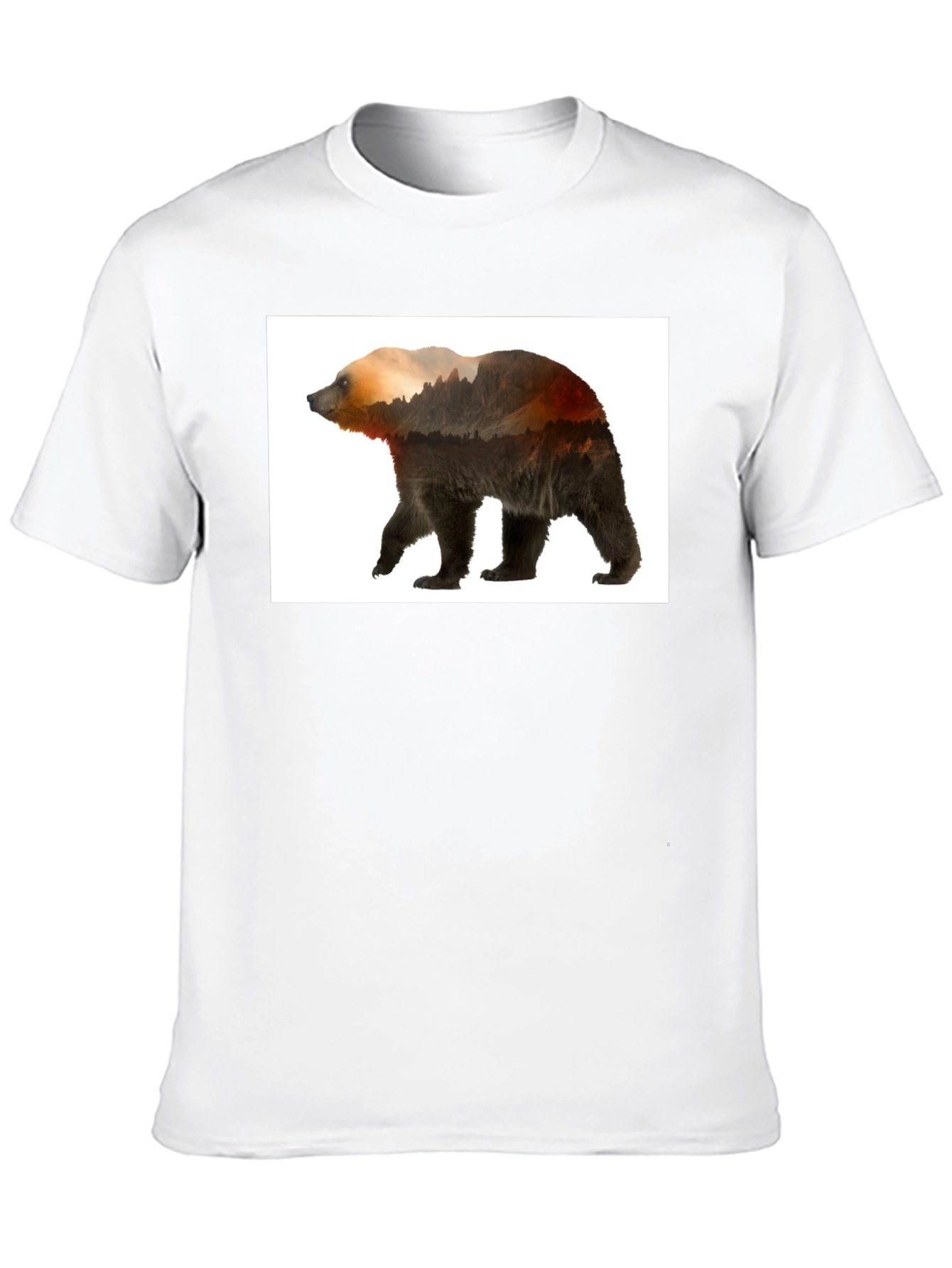 Nature Bear Graphic Tee - Black Casual Wear