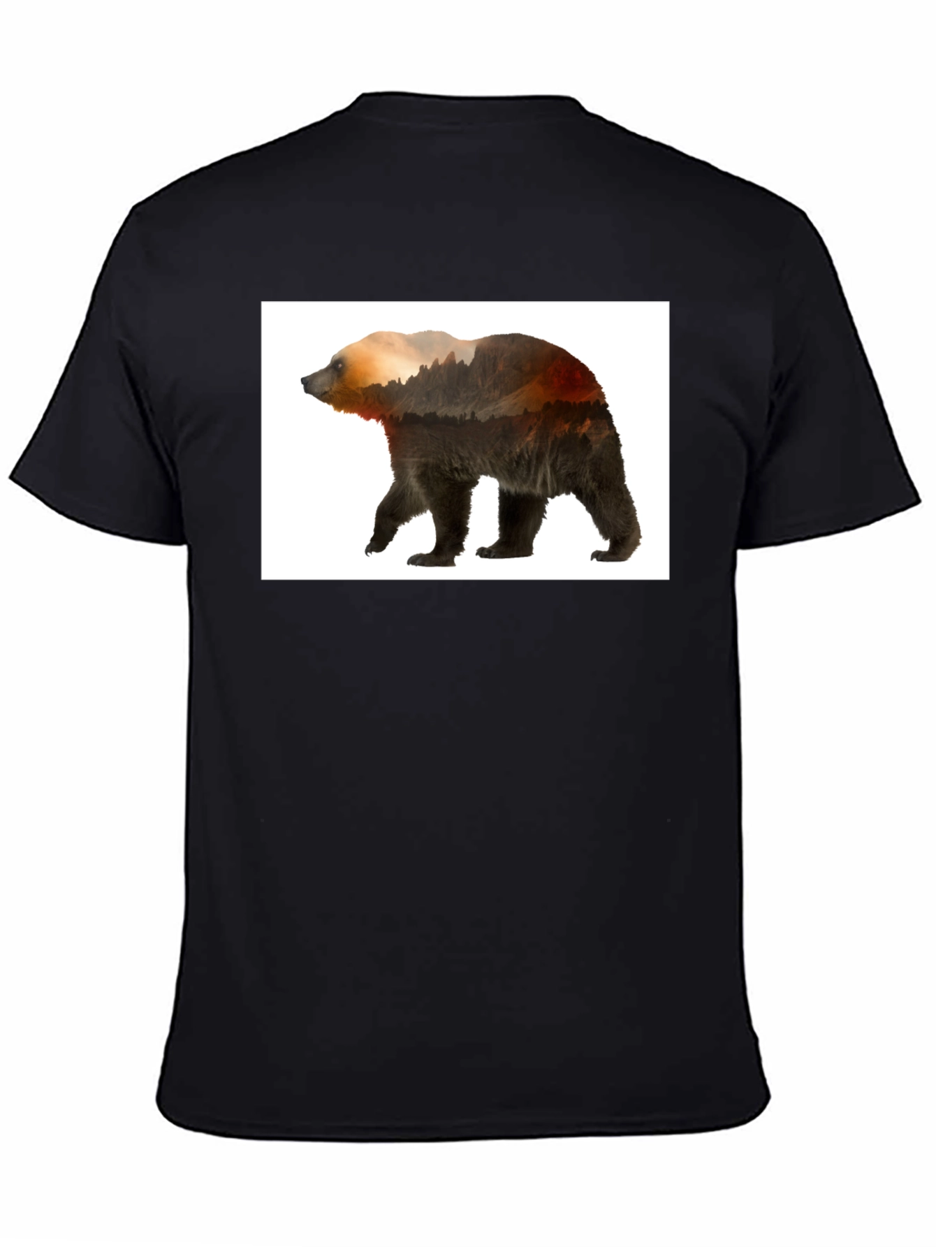 Nature Bear Graphic Tee - Black Casual Wear