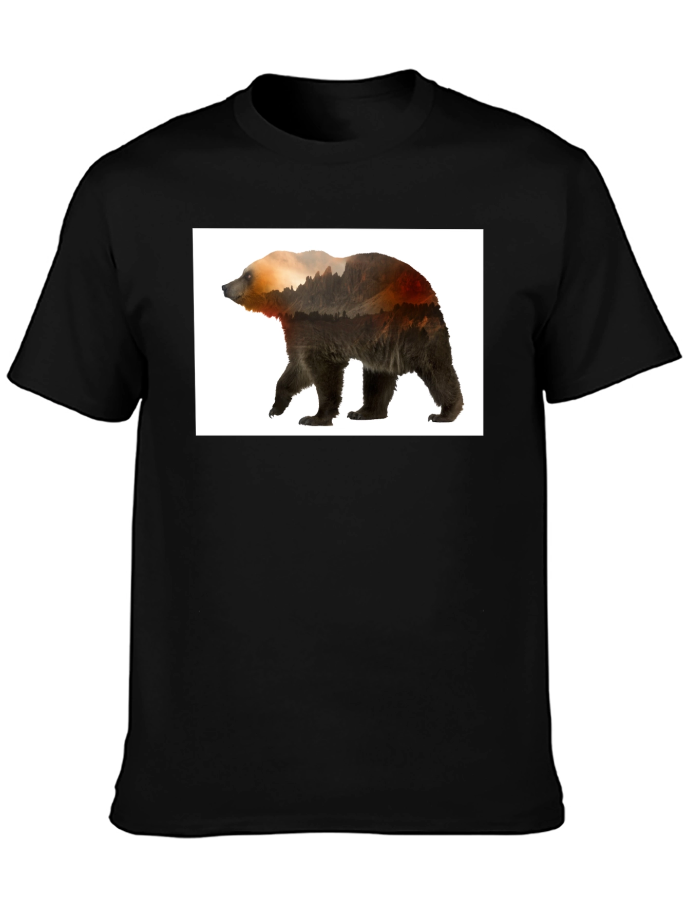 Nature Bear Graphic Tee - Black Casual Wear