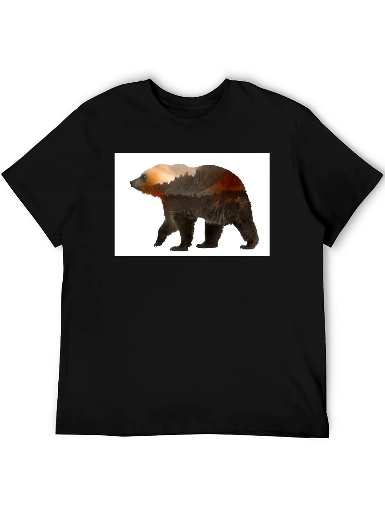Nature Bear Graphic Tee - Black Casual Wear