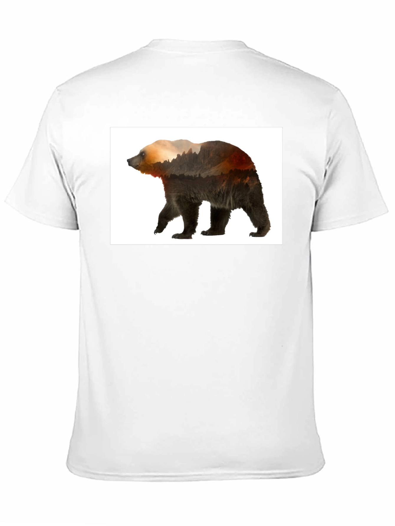 Nature Bear Graphic Tee - Black Casual Wear