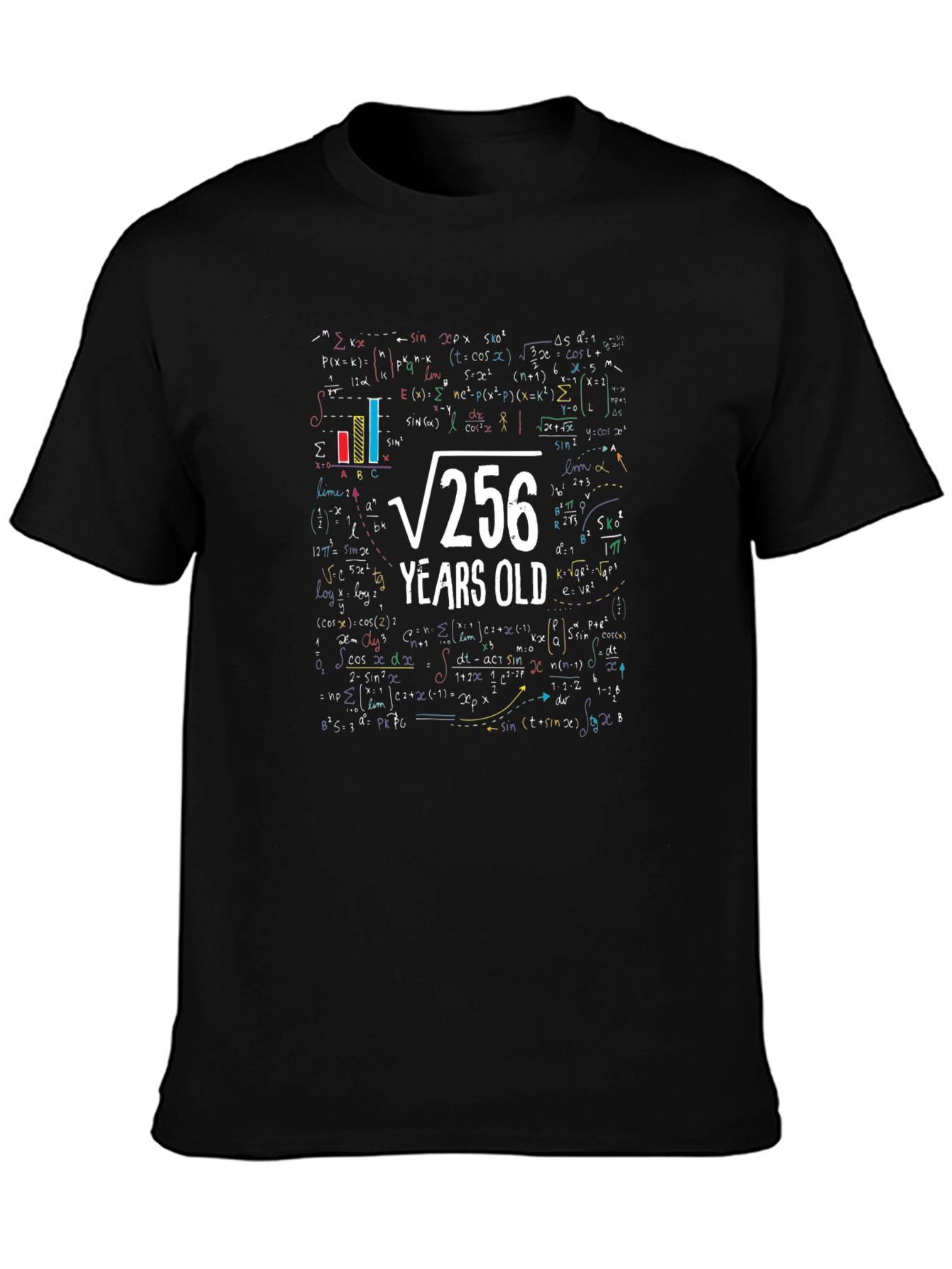 Math 16th Birthday T-Shirt - Root 256 Funny Tee