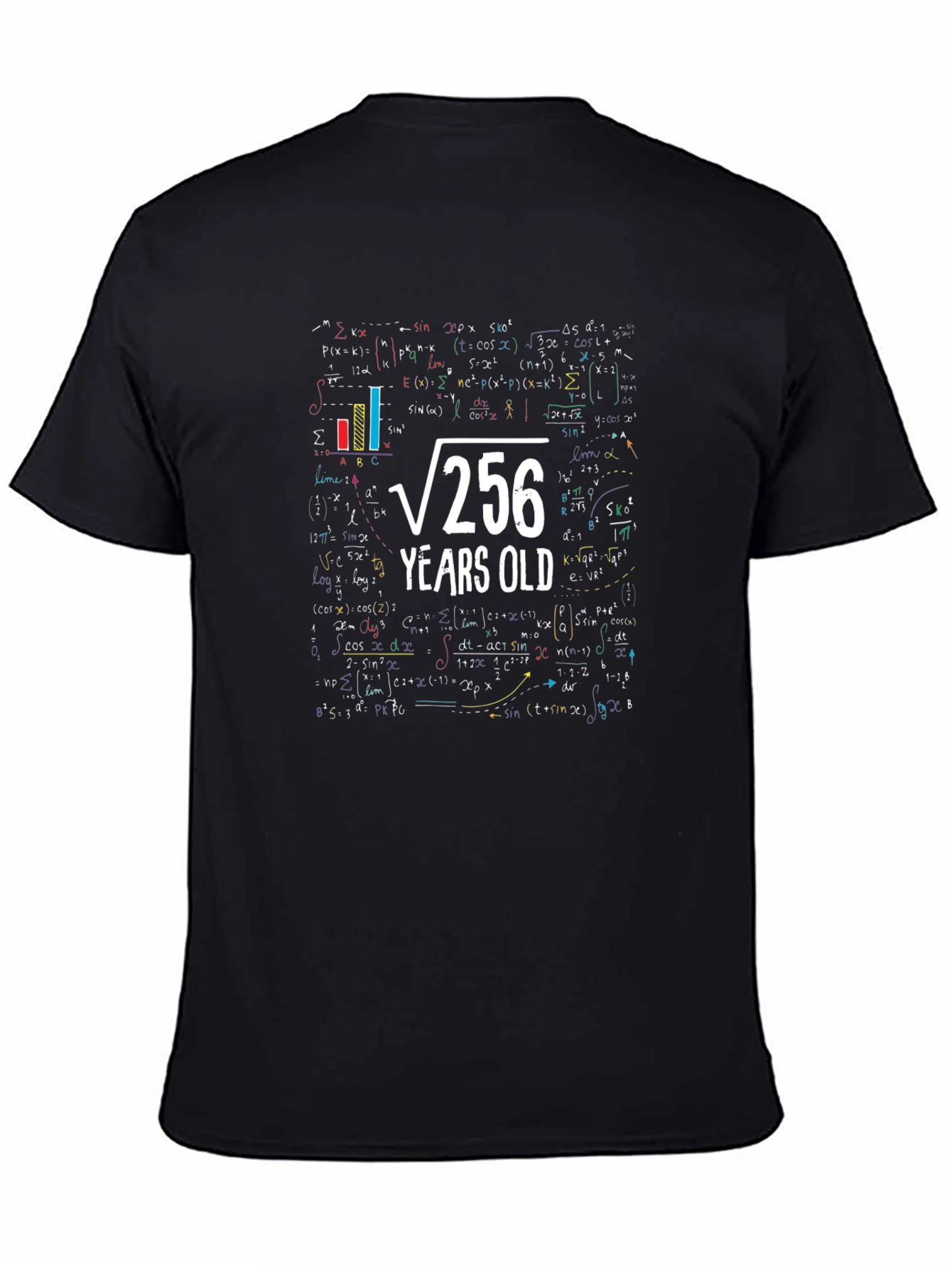 Math 16th Birthday T-Shirt - Root 256 Funny Tee