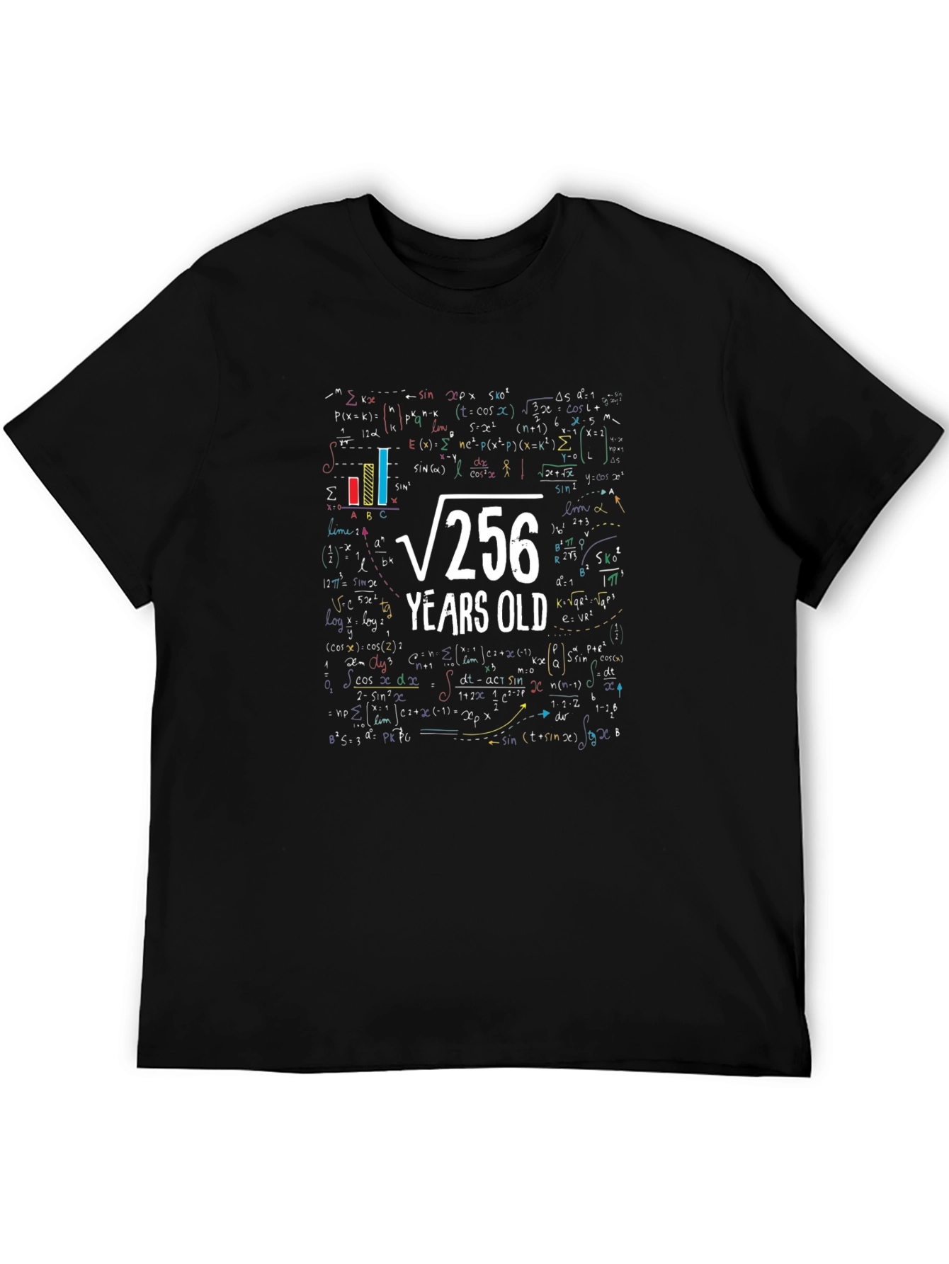 Math 16th Birthday T-Shirt - Root 256 Funny Tee