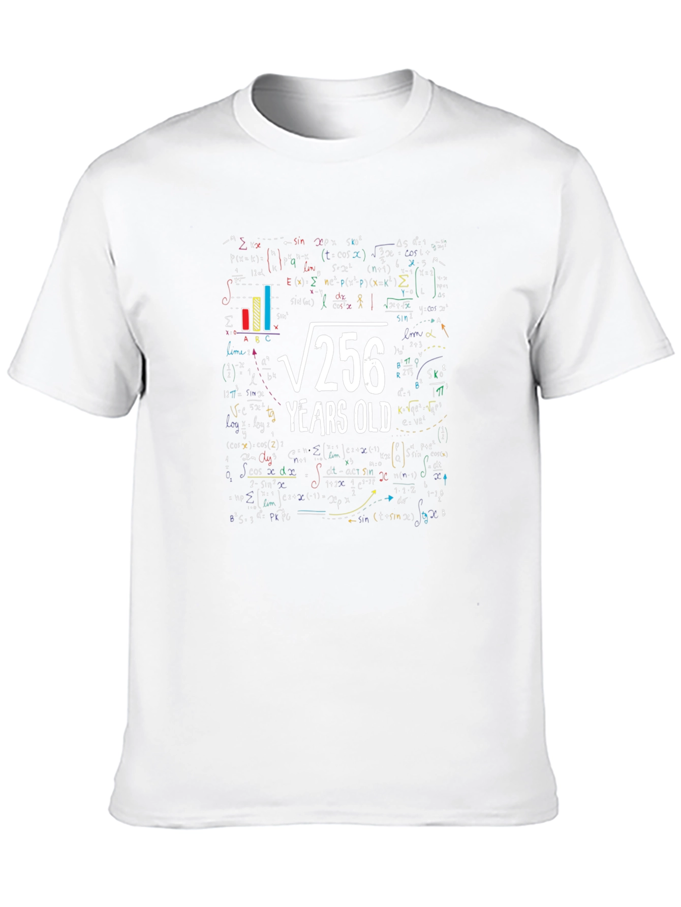 Math 16th Birthday T-Shirt - Root 256 Funny Tee