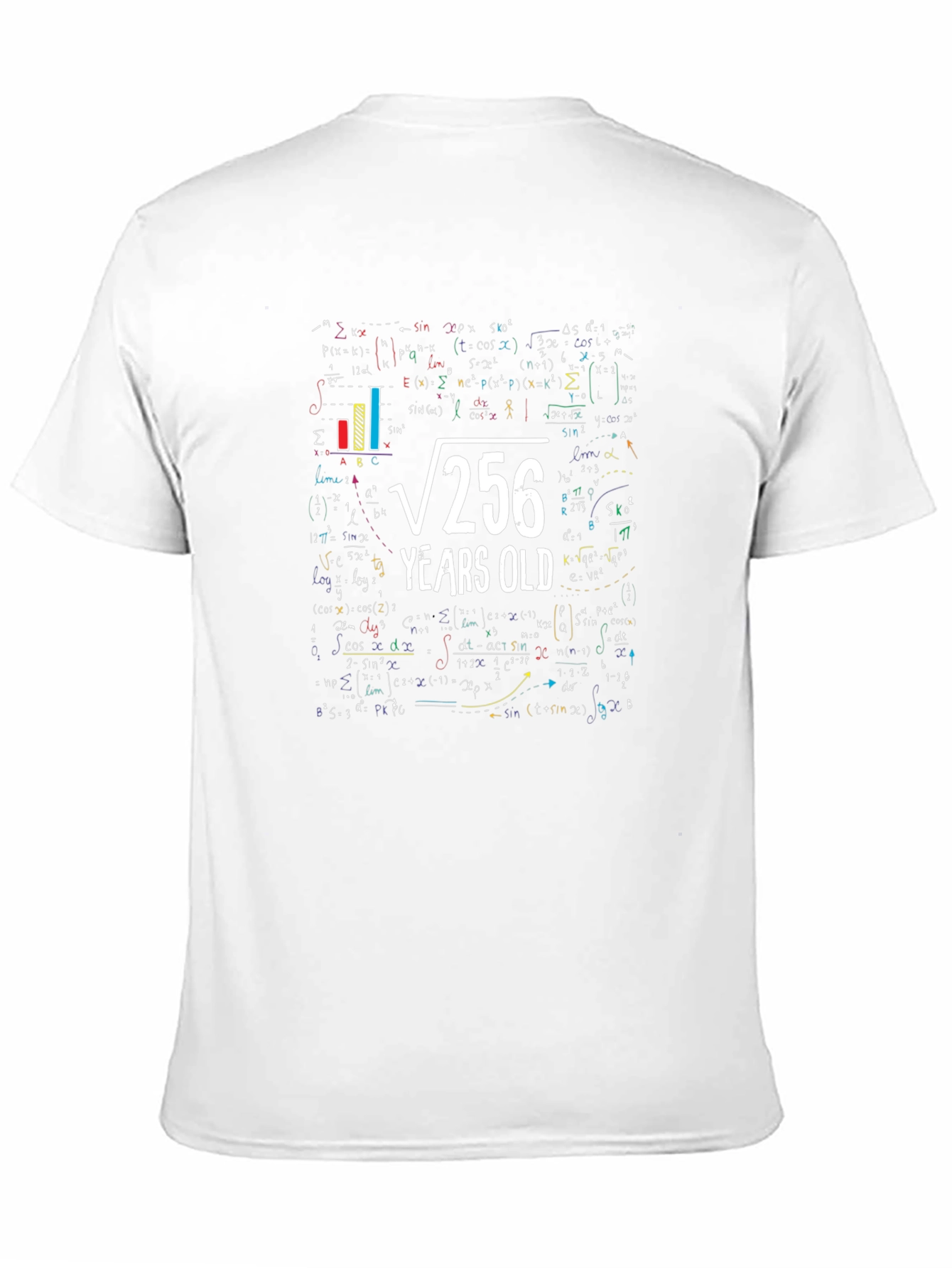 Math 16th Birthday T-Shirt - Root 256 Funny Tee