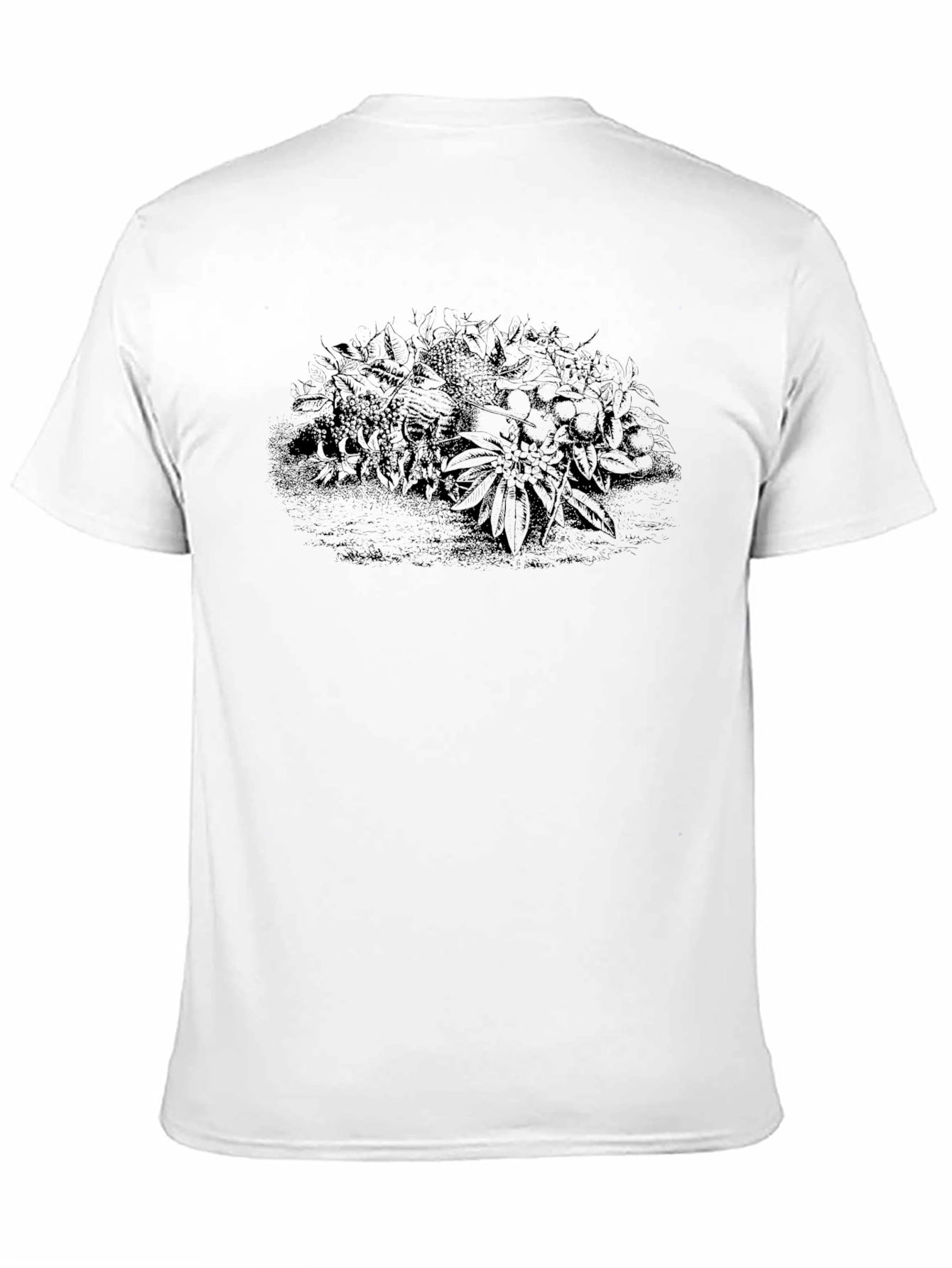 Botanical Graphic Black T-Shirt