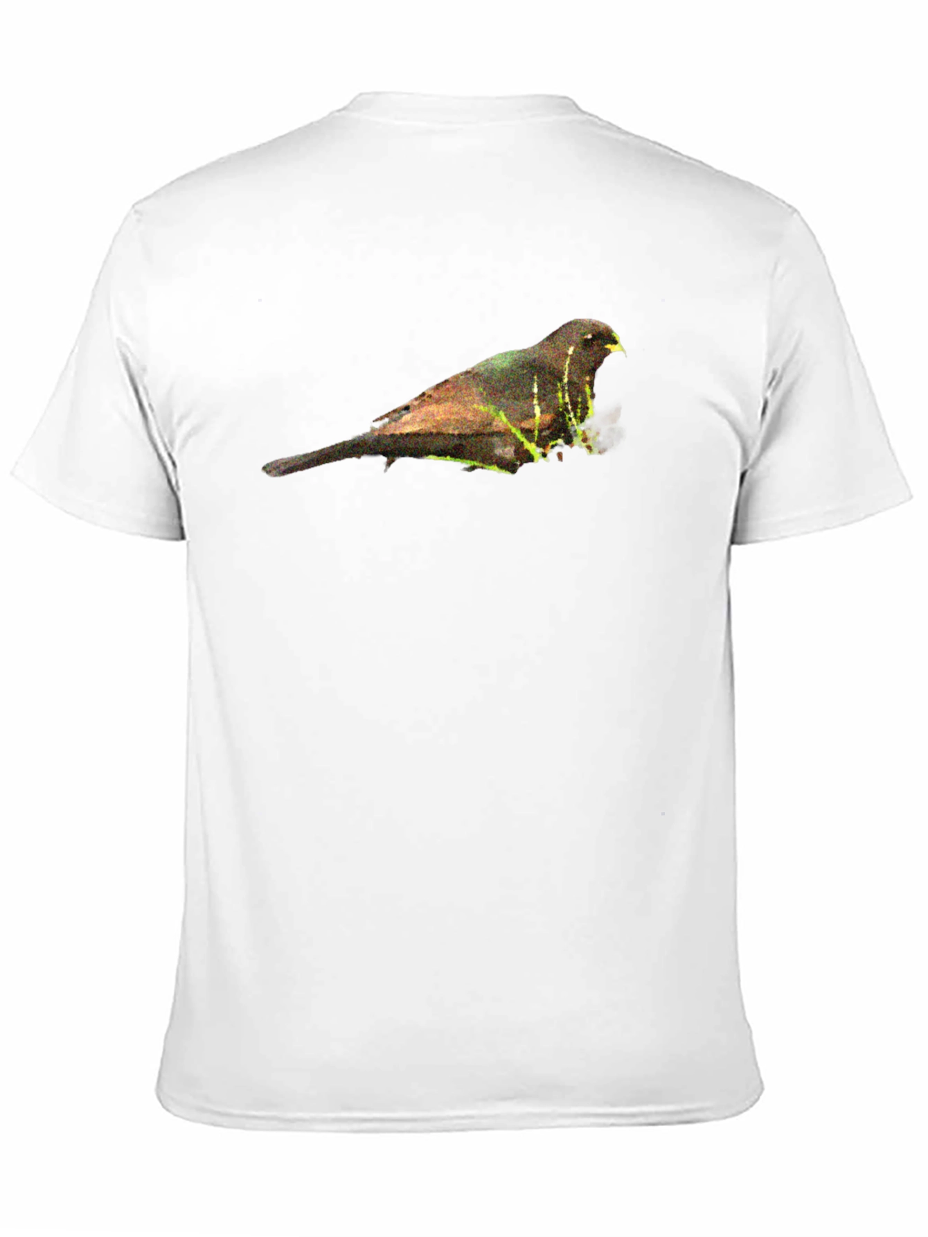 Bird Graphic Black T-Shirt - Nature Inspired Apparel