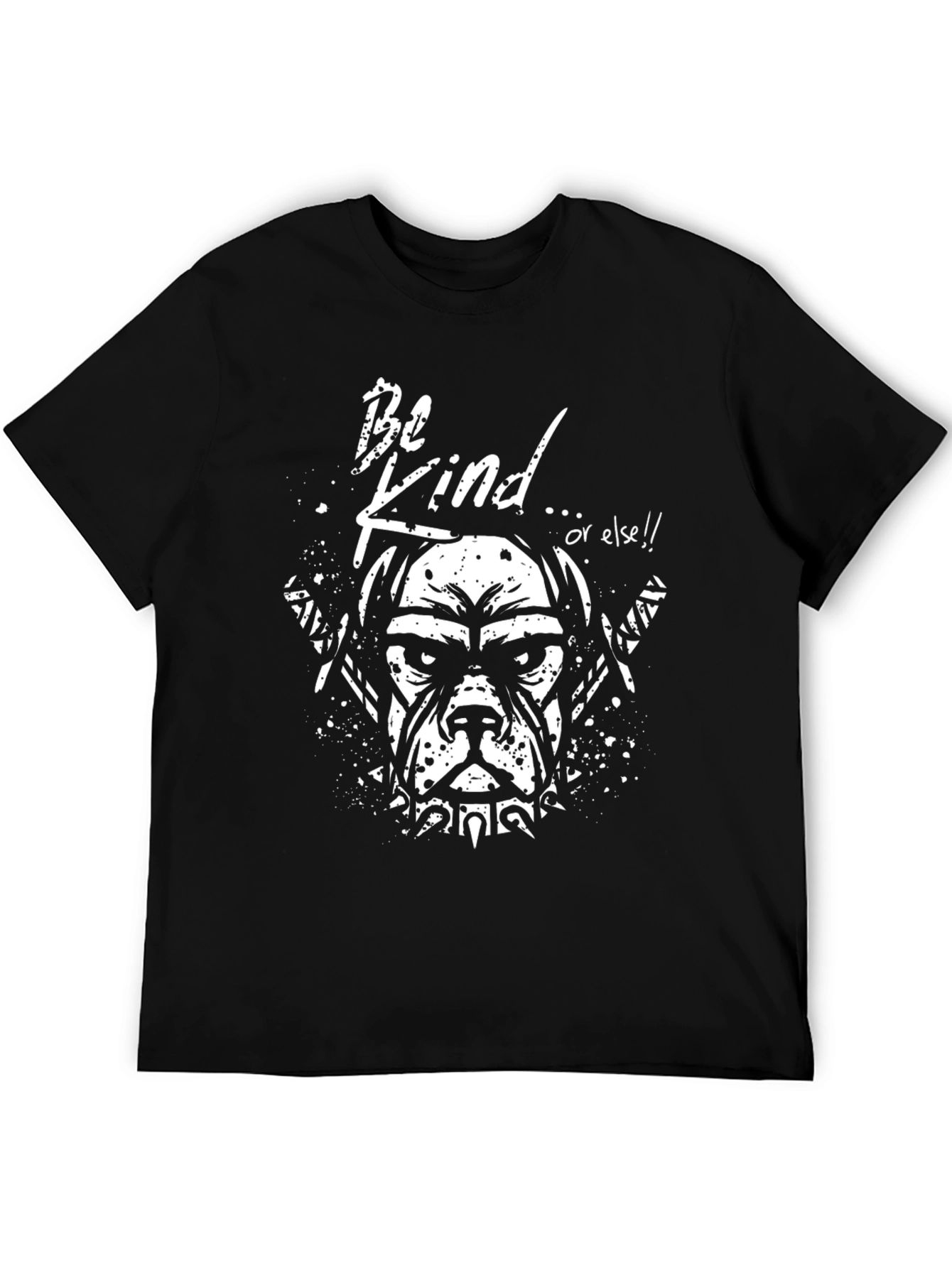 Be Kind Graphic Tee
