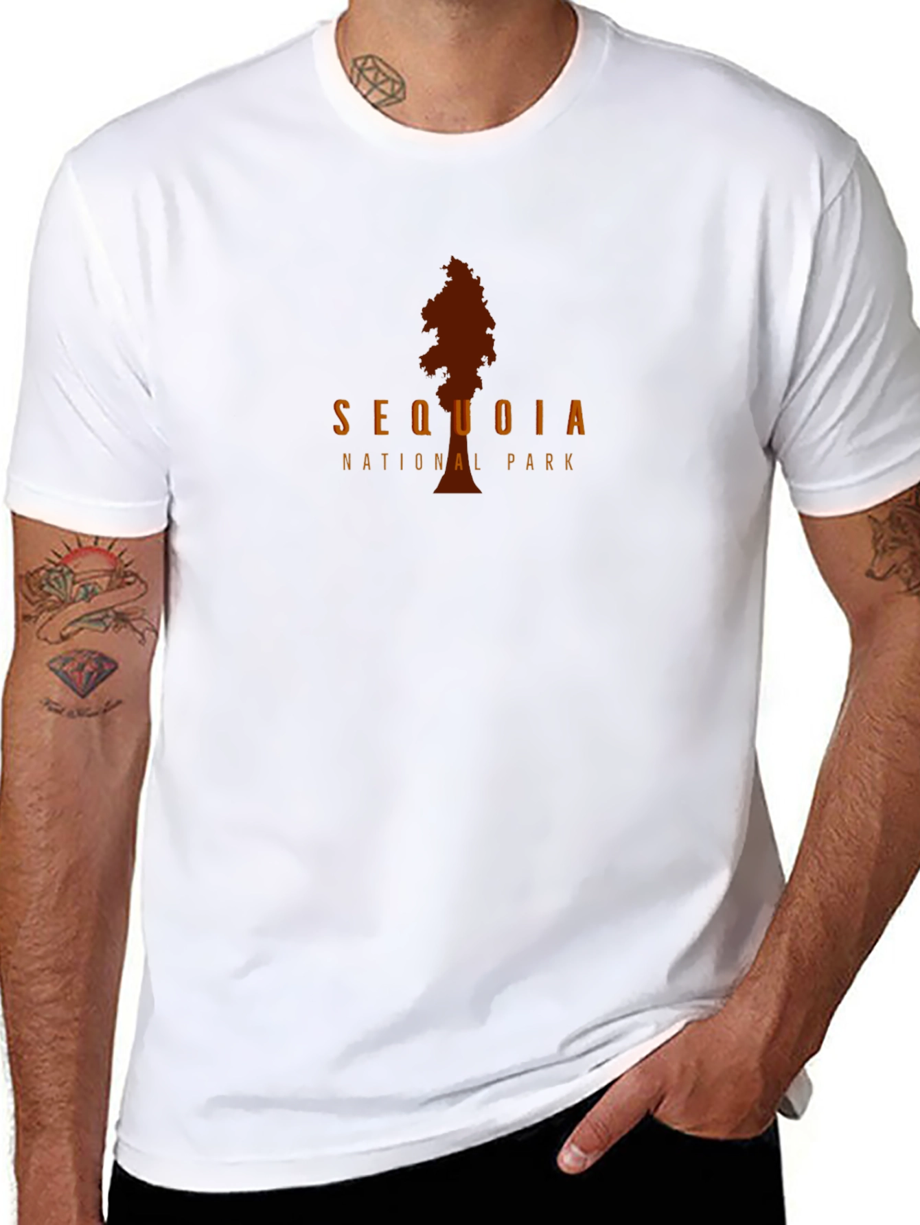 Sequoia National Park Tree Graphic Black T-Shirt