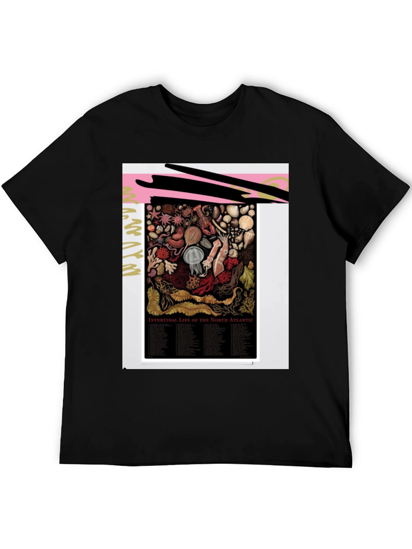 Intertidal Life of North Atlantic Graphic Tee