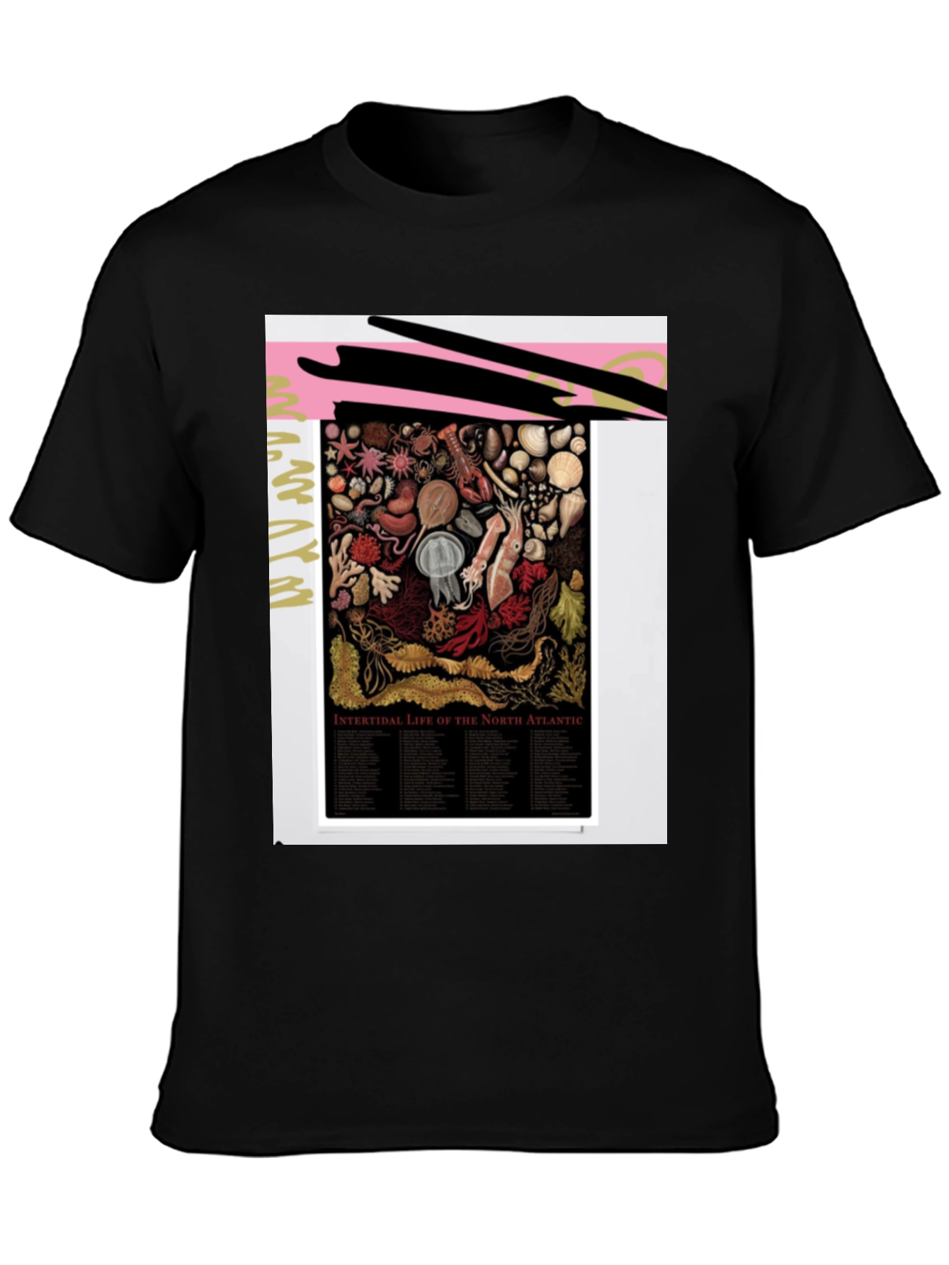 Intertidal Life of North Atlantic Graphic Tee