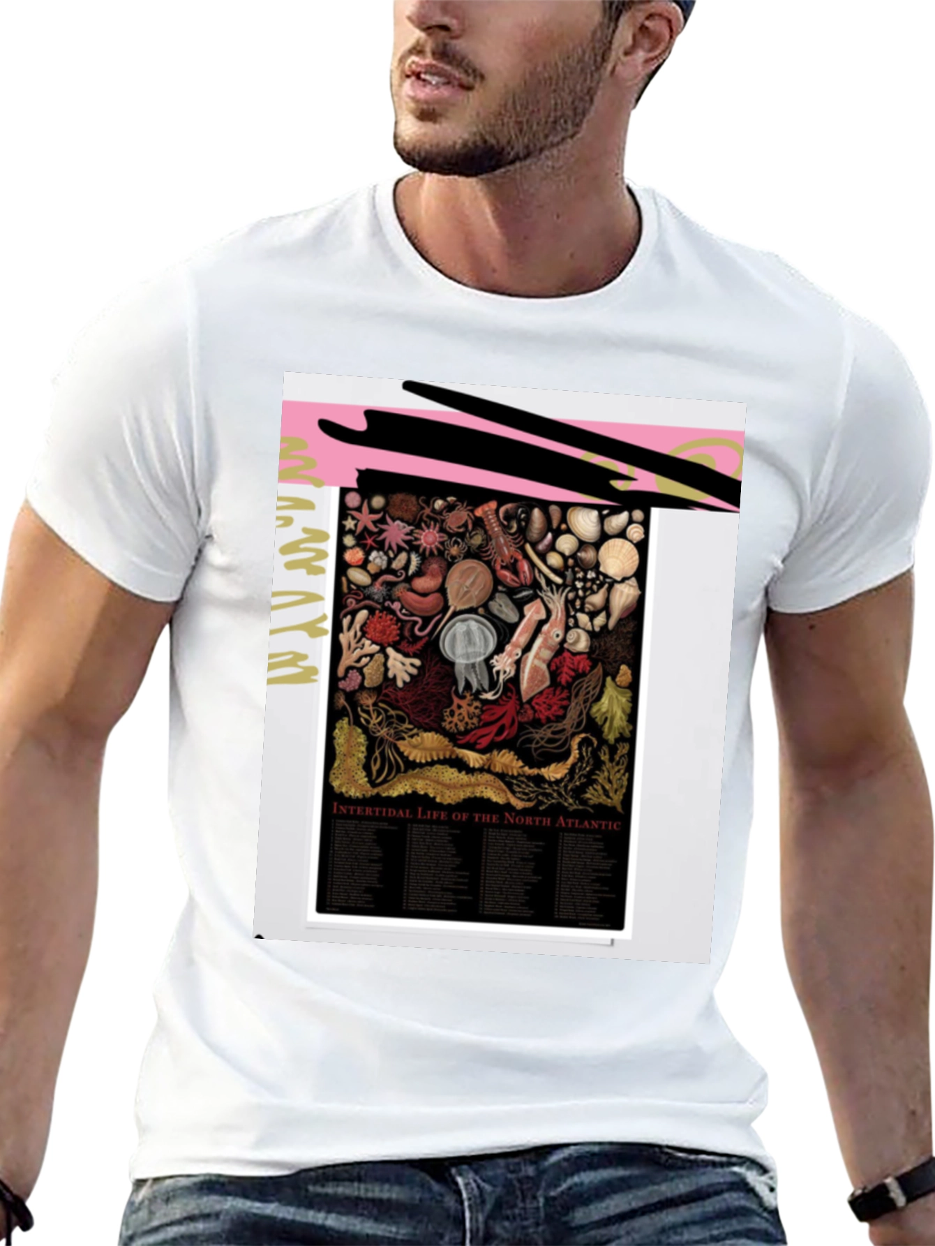 Intertidal Life of North Atlantic Graphic Tee