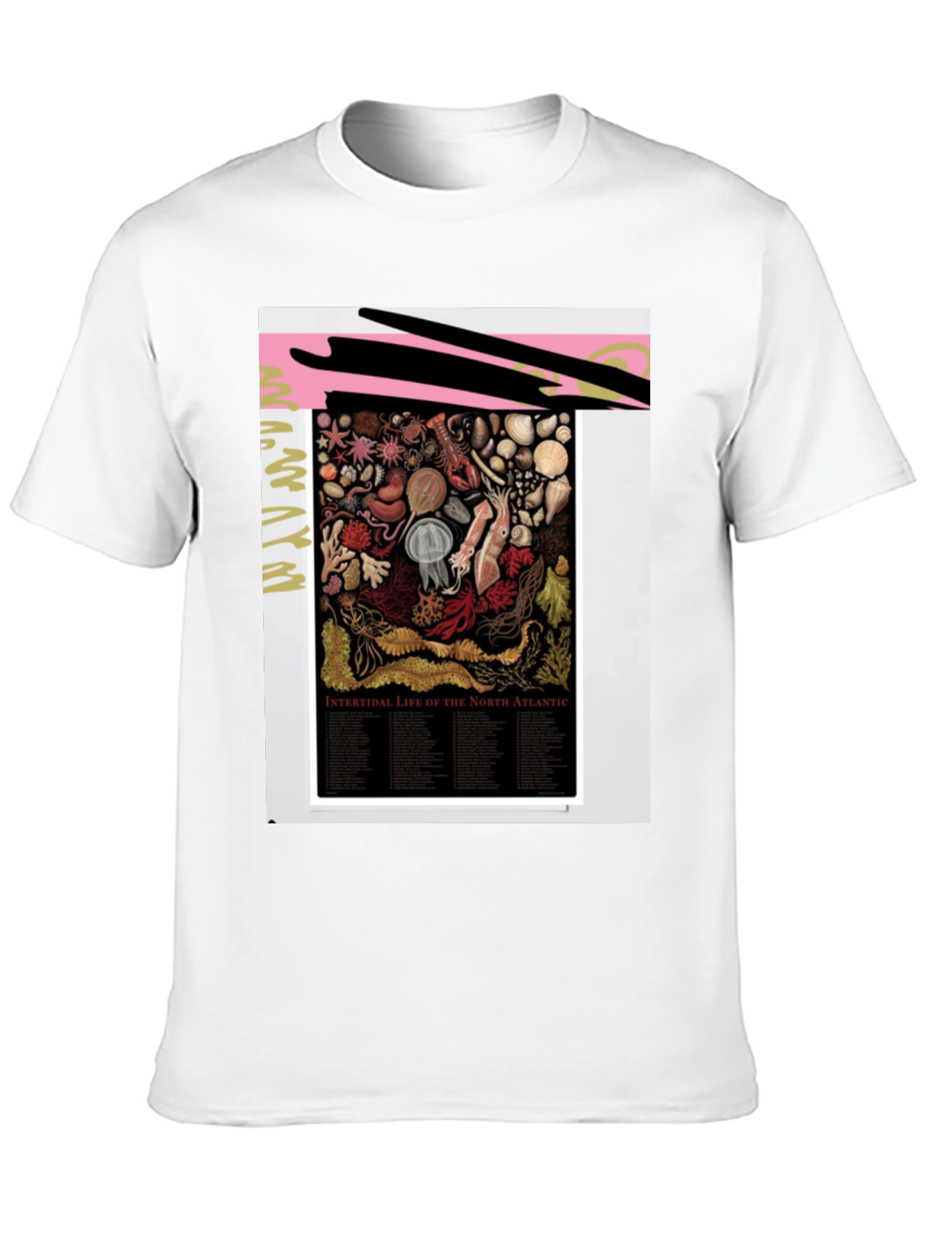 Intertidal Life of North Atlantic Graphic Tee