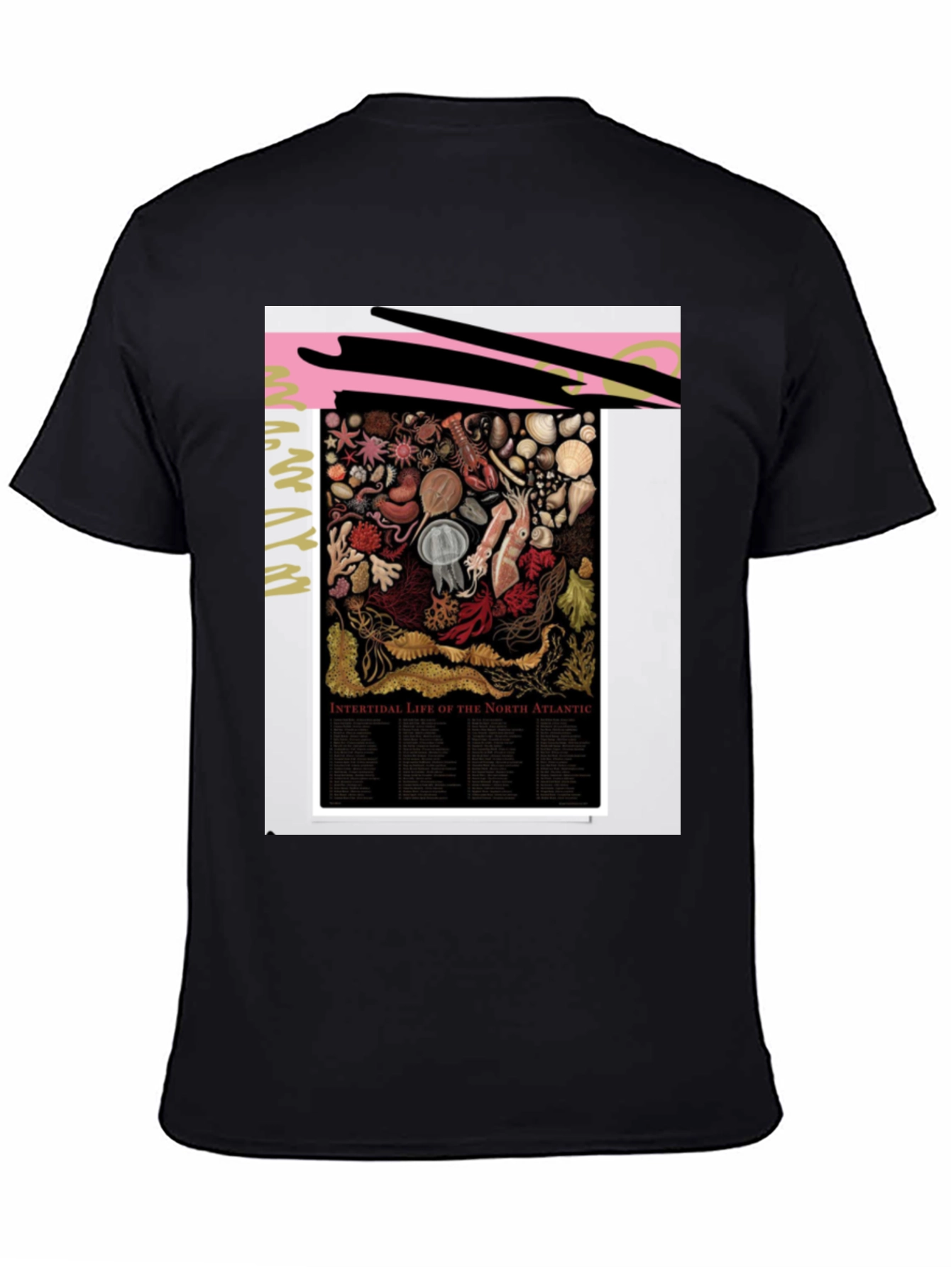 Intertidal Life of North Atlantic Graphic Tee