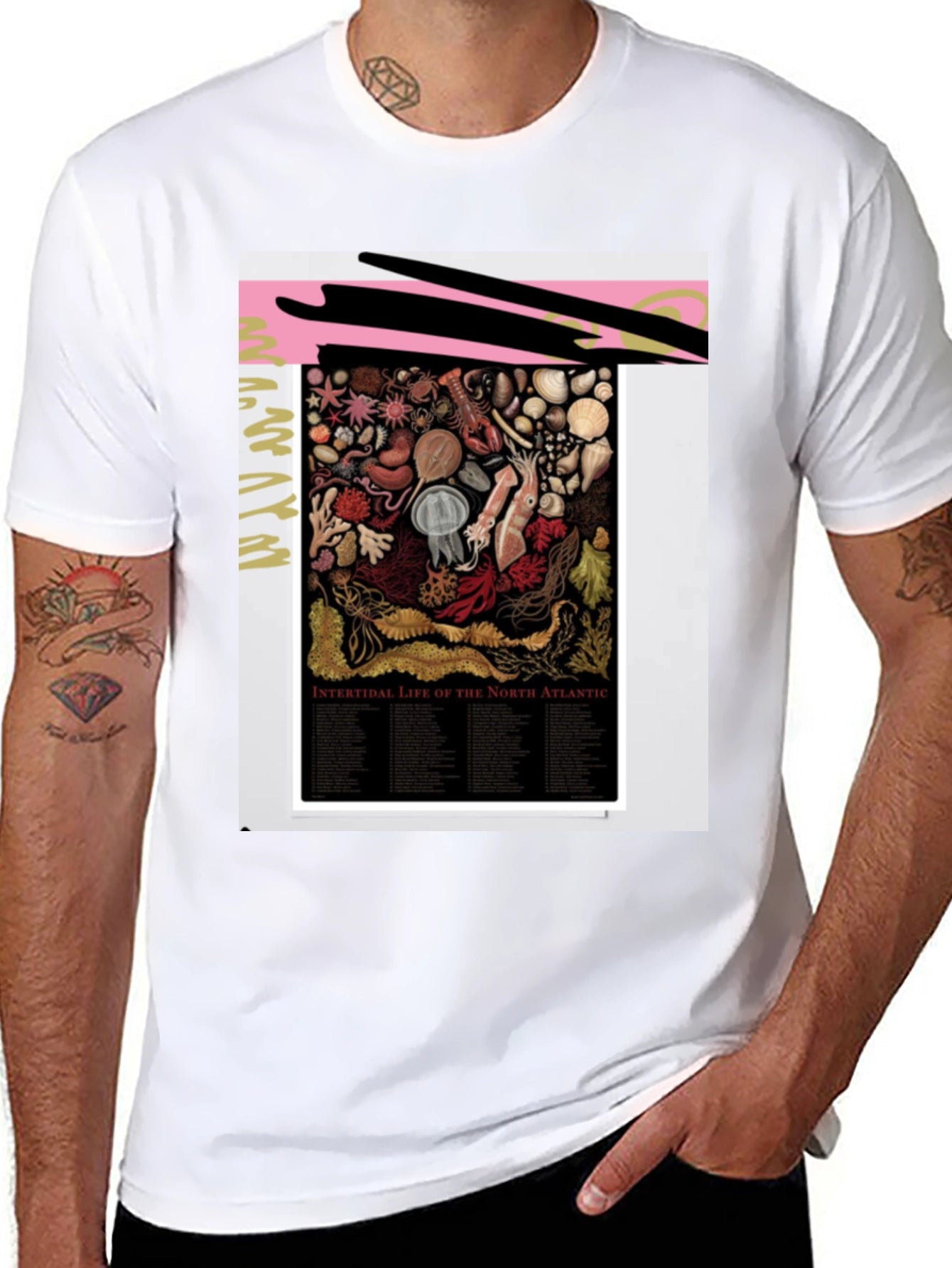 Intertidal Life of North Atlantic Graphic Tee