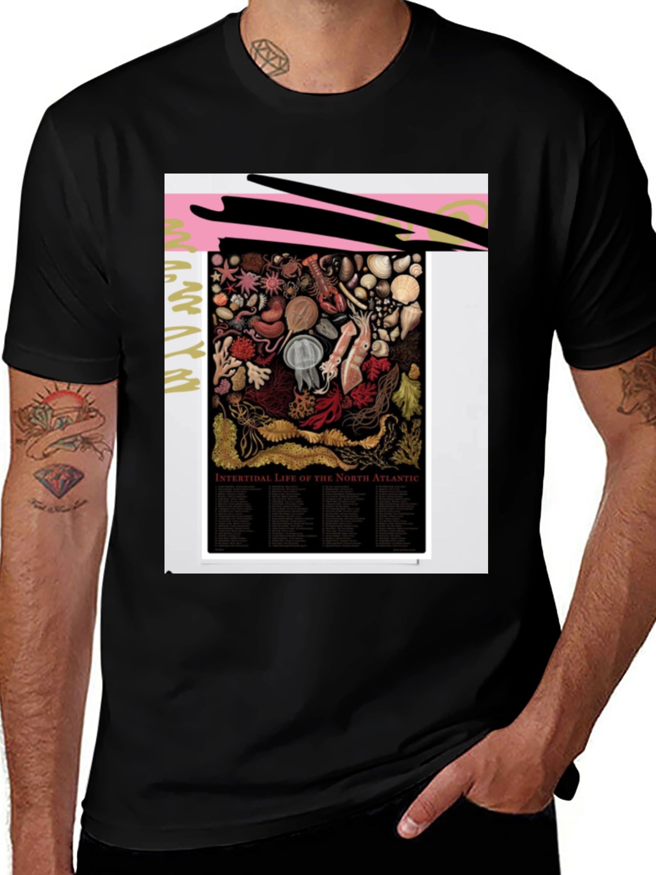 Intertidal Life of North Atlantic Graphic Tee