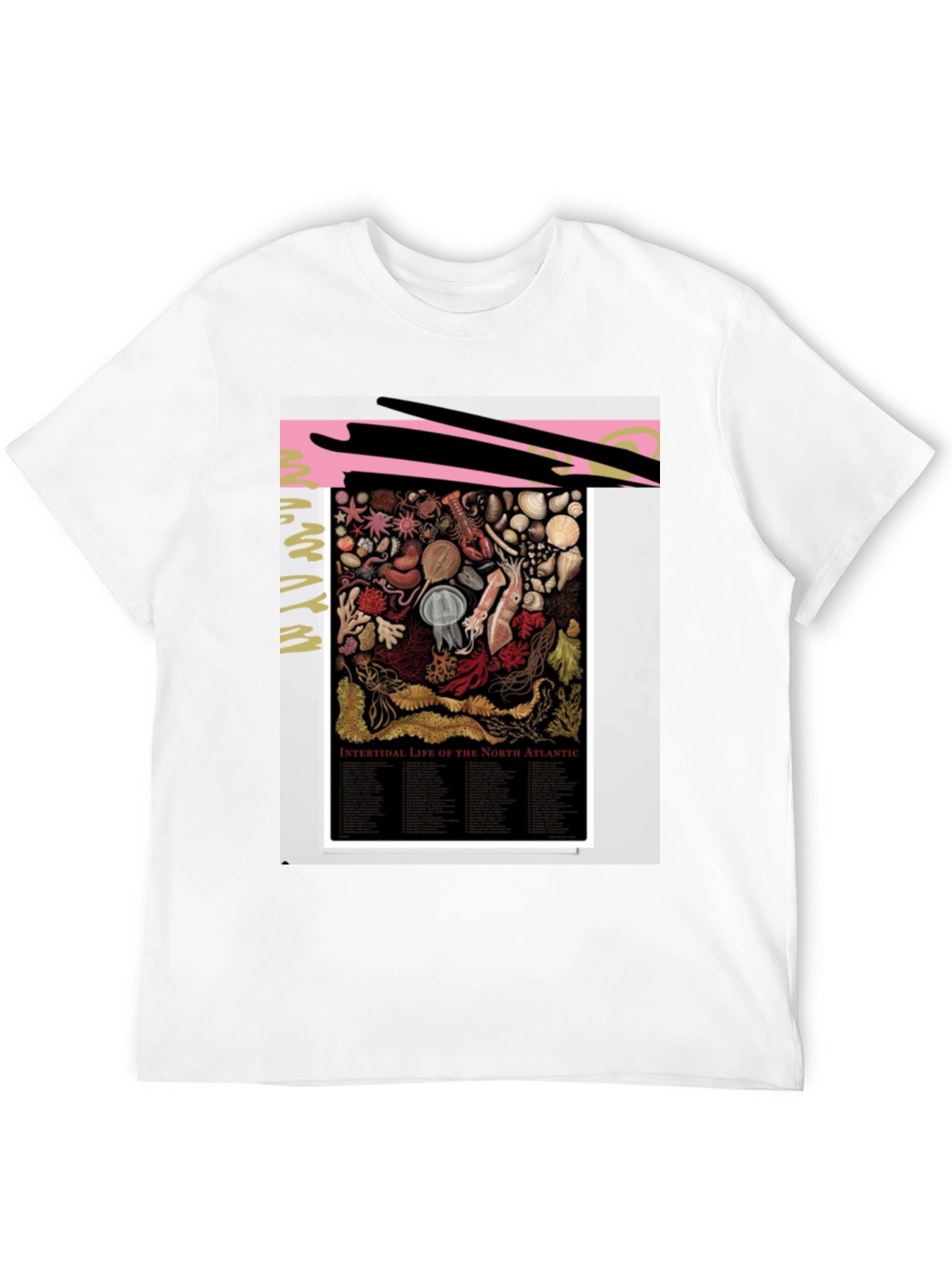 Intertidal Life of North Atlantic Graphic Tee