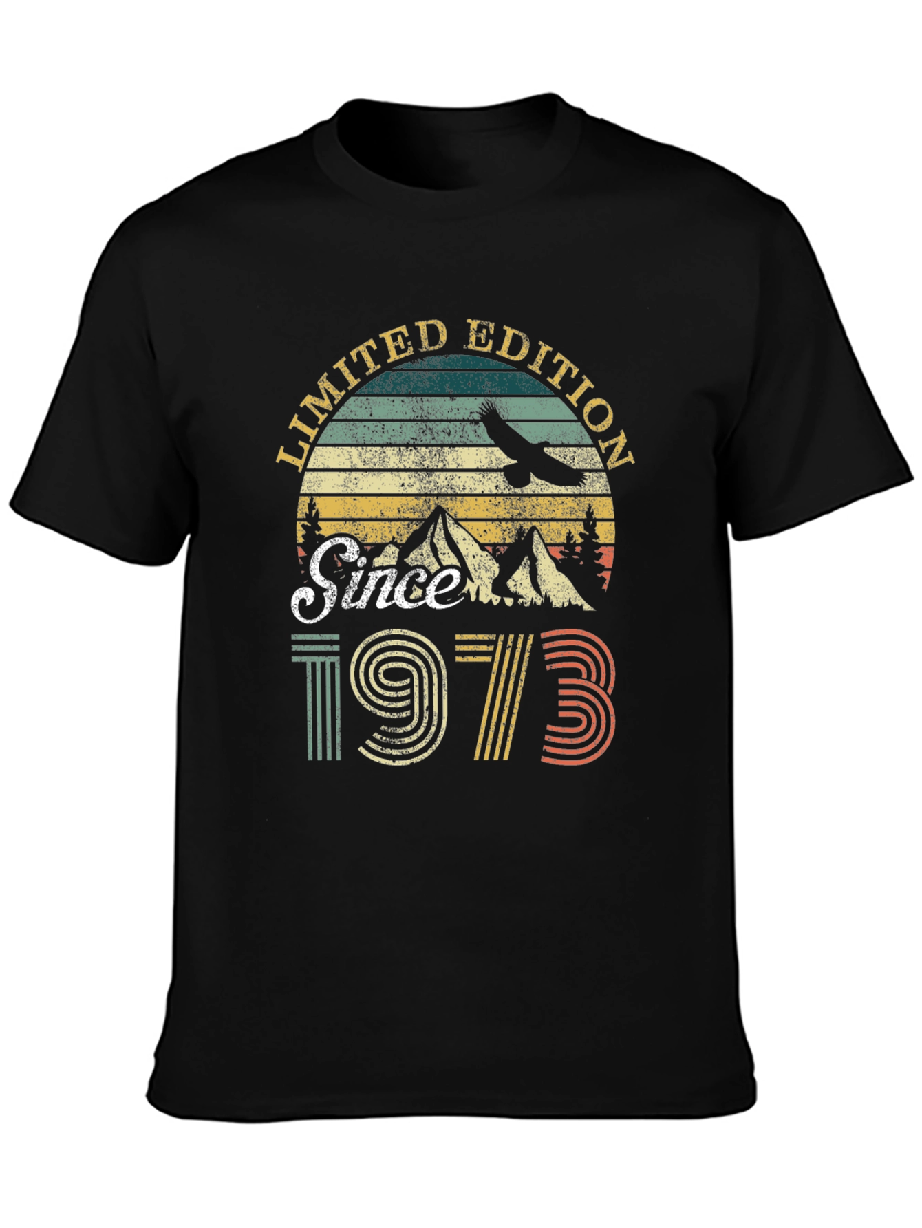 Limited Edition Since 1973 Graphic T-Shirt