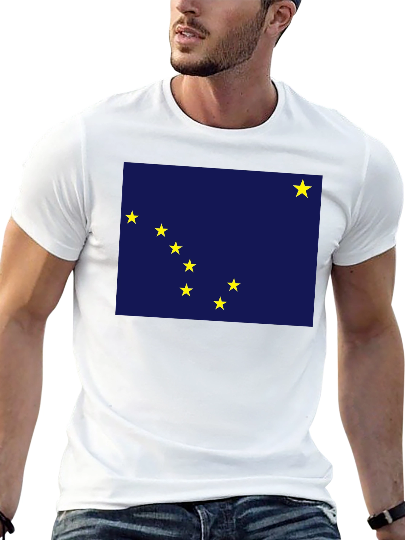 Alaska Flag Graphic T-Shirt - Black Crew Neck Tee