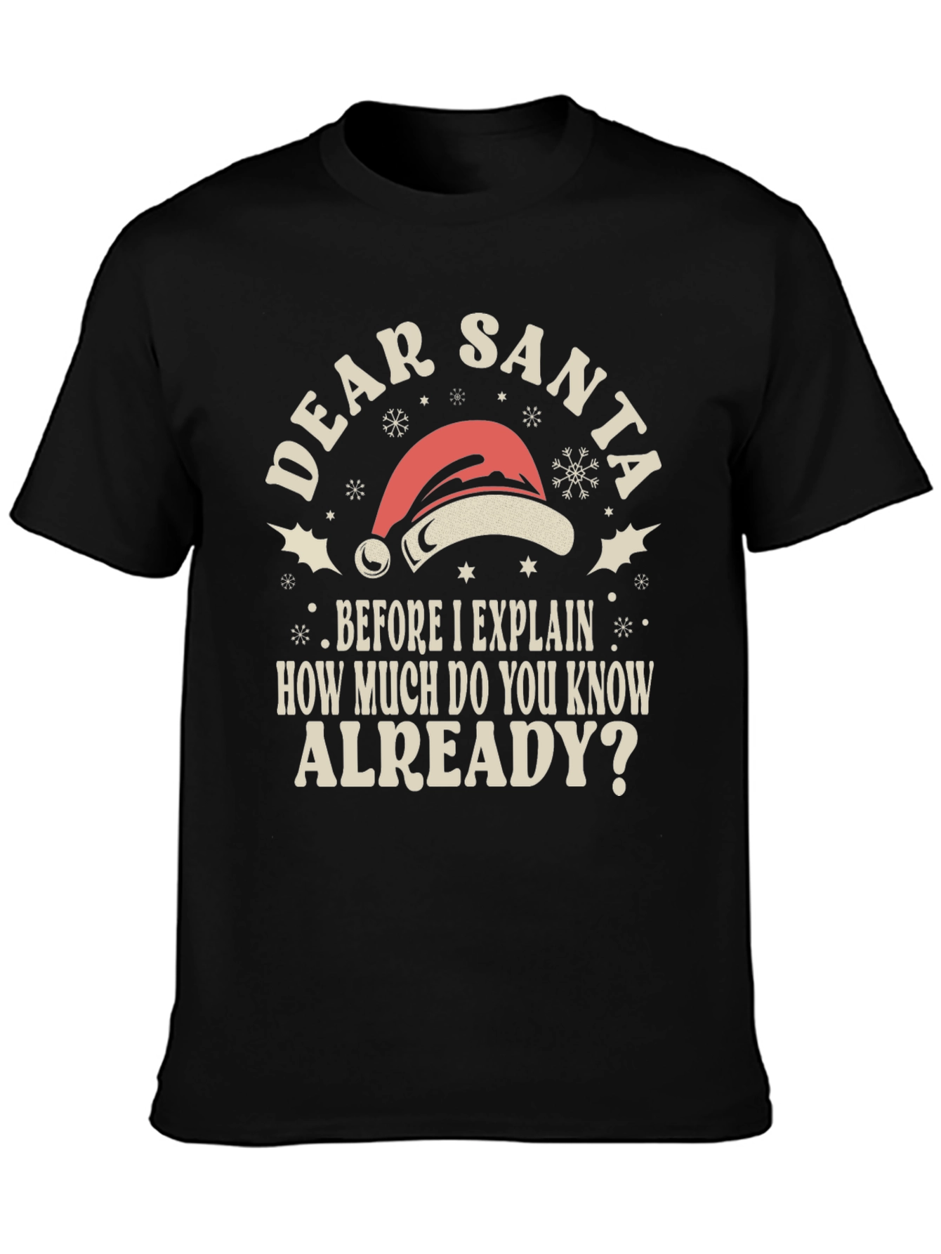 Dear Santa Funny Holiday T-Shirt