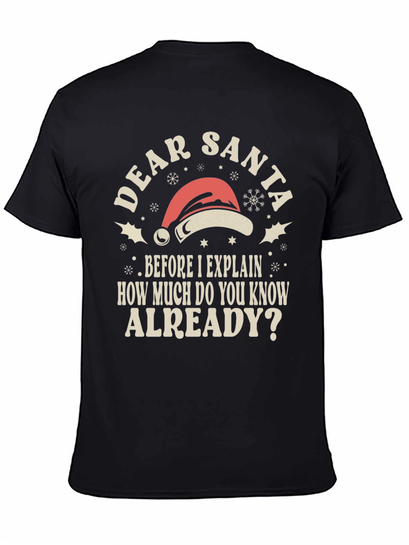 Dear Santa Funny Holiday T-Shirt