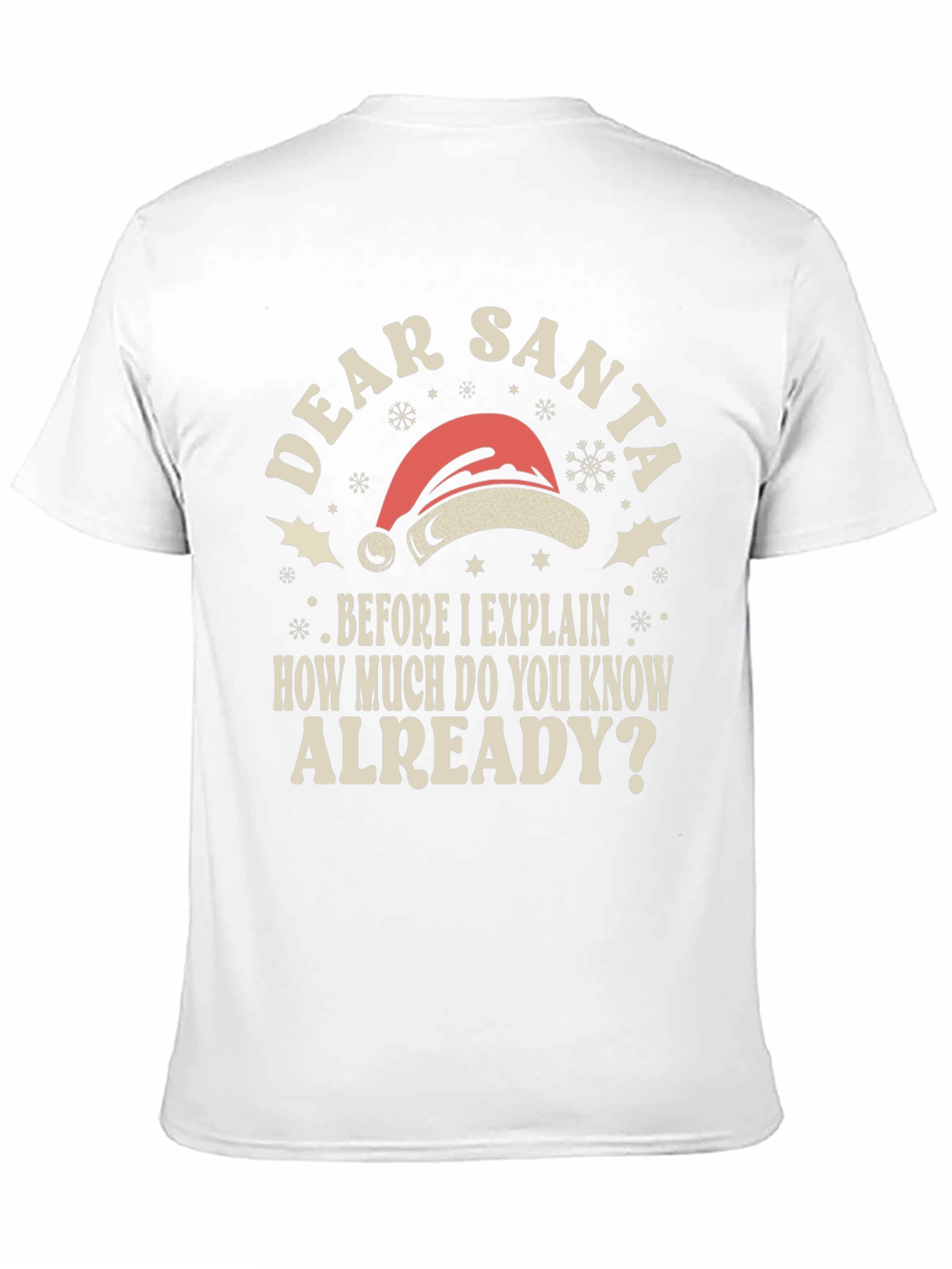 Dear Santa Funny Holiday T-Shirt