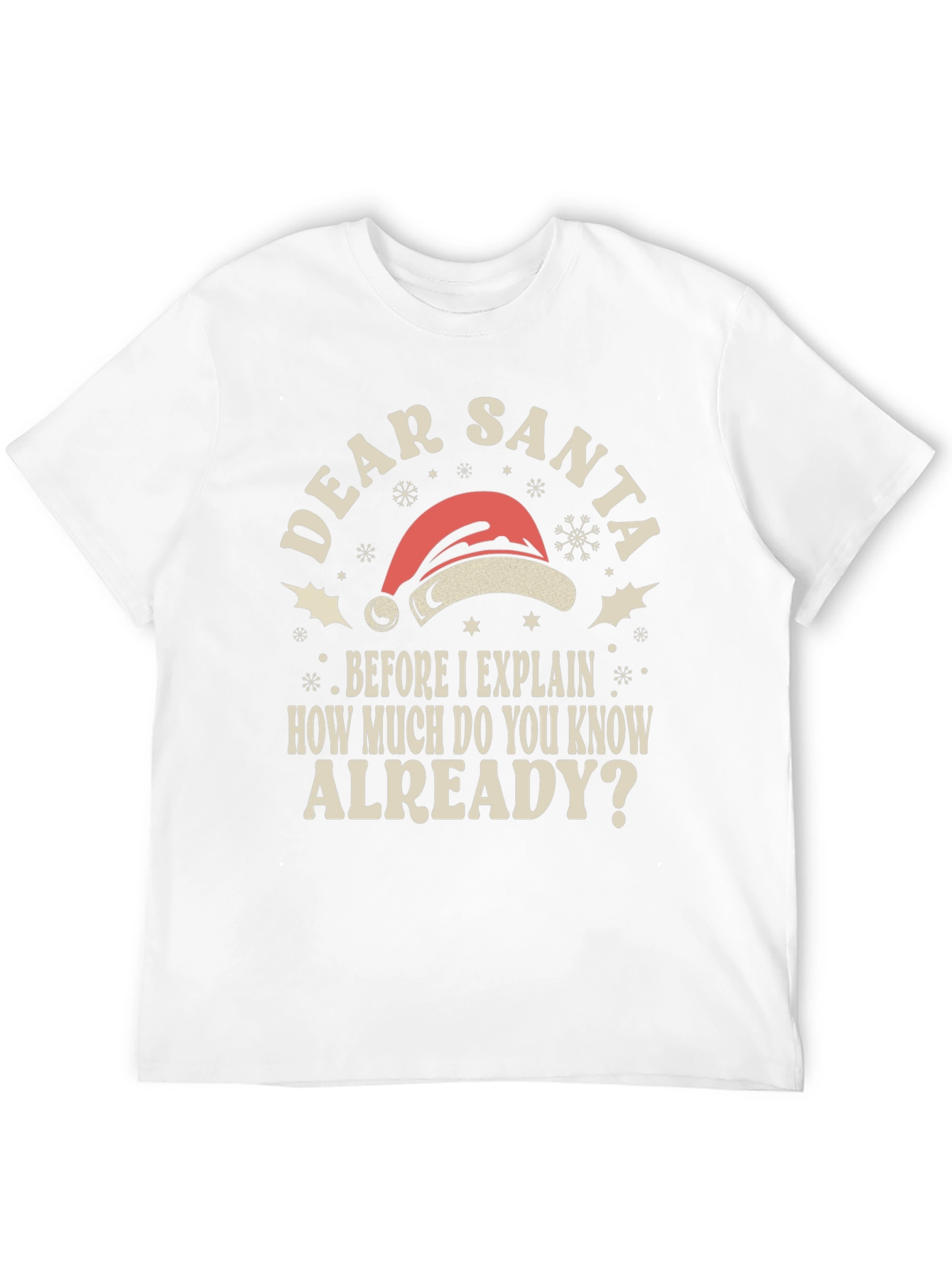 Dear Santa Funny Holiday T-Shirt