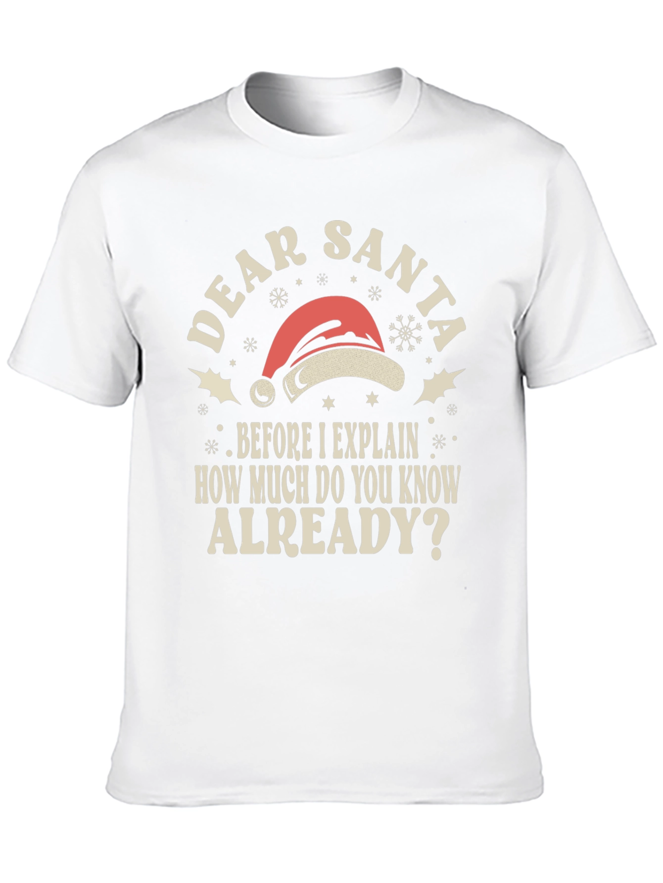 Dear Santa Funny Holiday T-Shirt