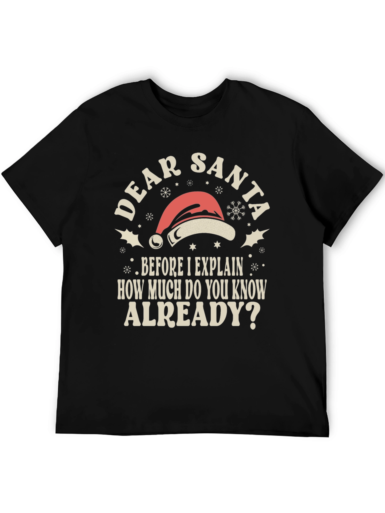 Dear Santa Funny Holiday T-Shirt