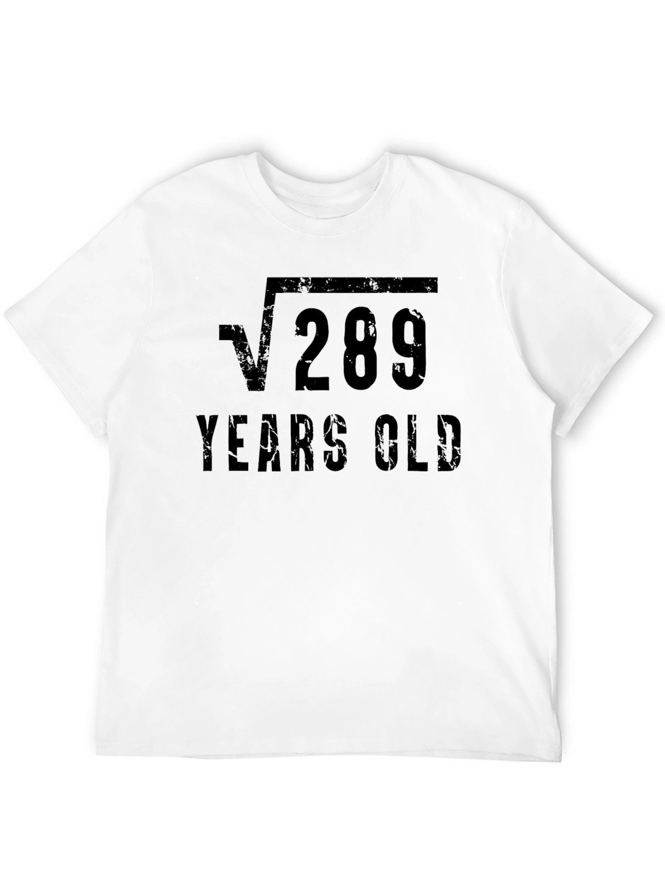 Funny 17th Birthday Square Root 289 Years Old T-Shirt