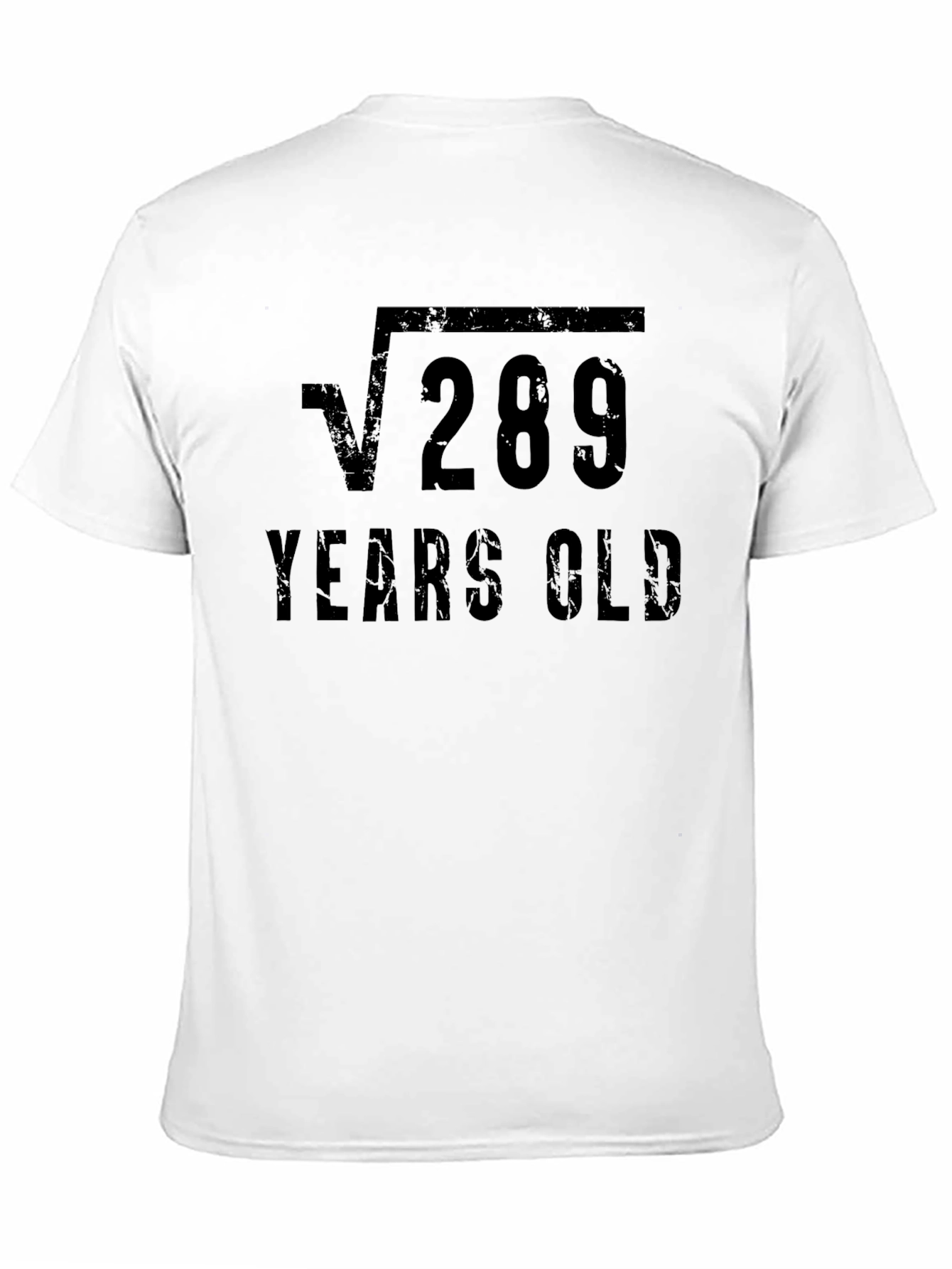 Funny 17th Birthday Square Root 289 Years Old T-Shirt