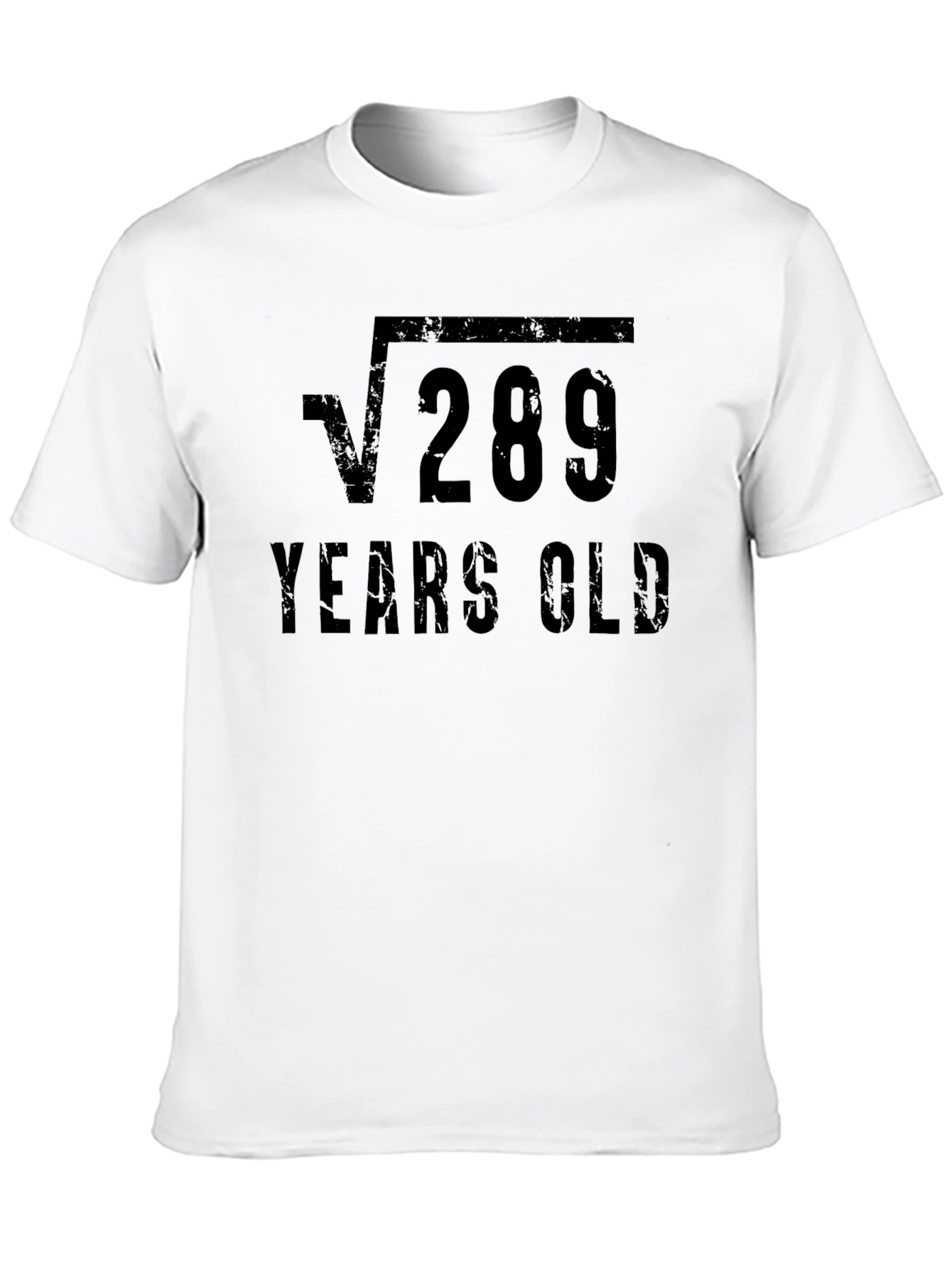Funny 17th Birthday Square Root 289 Years Old T-Shirt