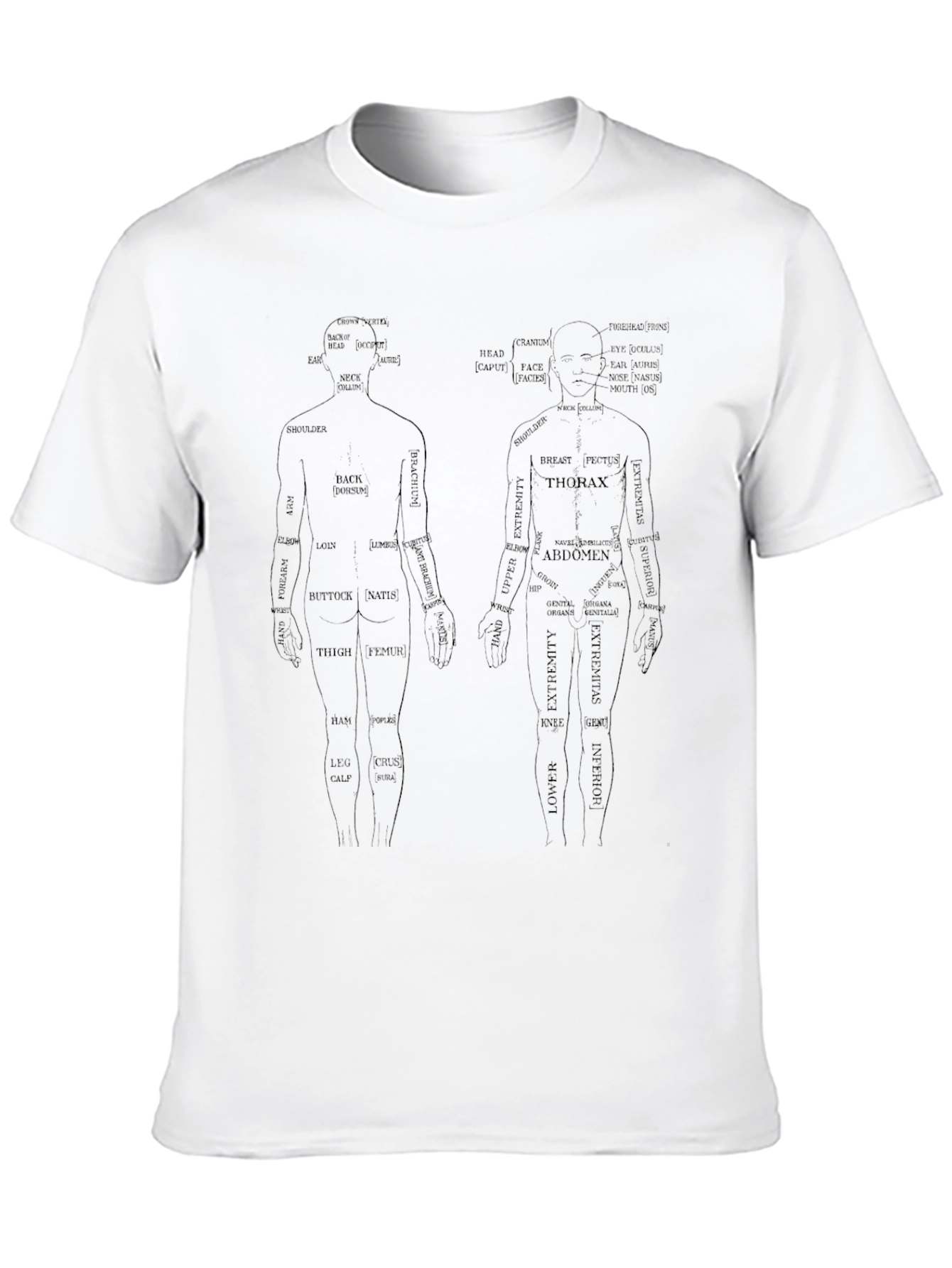 Anatomical Human Body T-Shirt