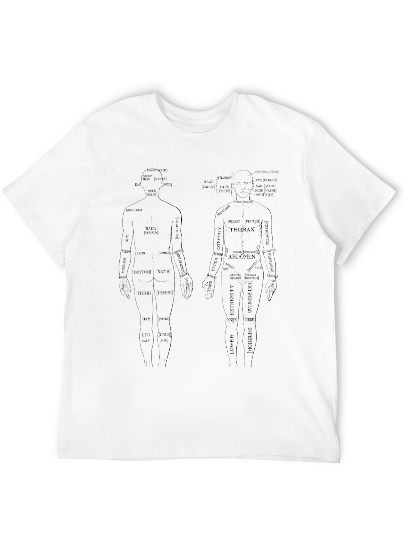 Anatomical Human Body T-Shirt