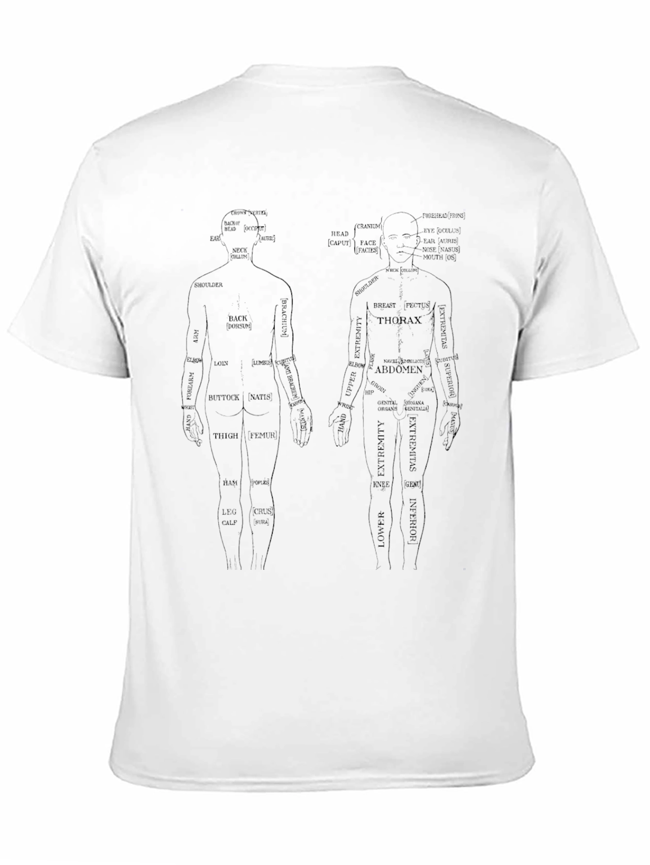 Anatomical Human Body T-Shirt