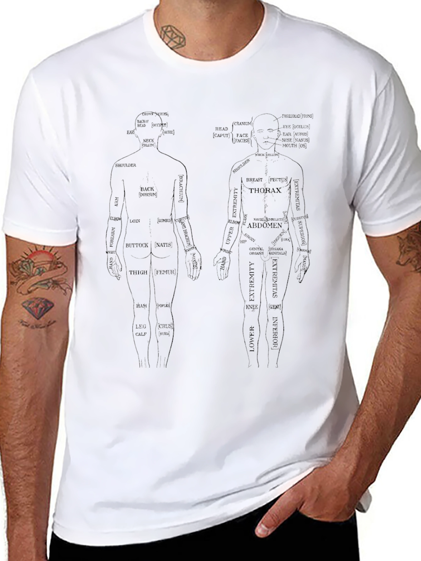 Anatomical Human Body T-Shirt