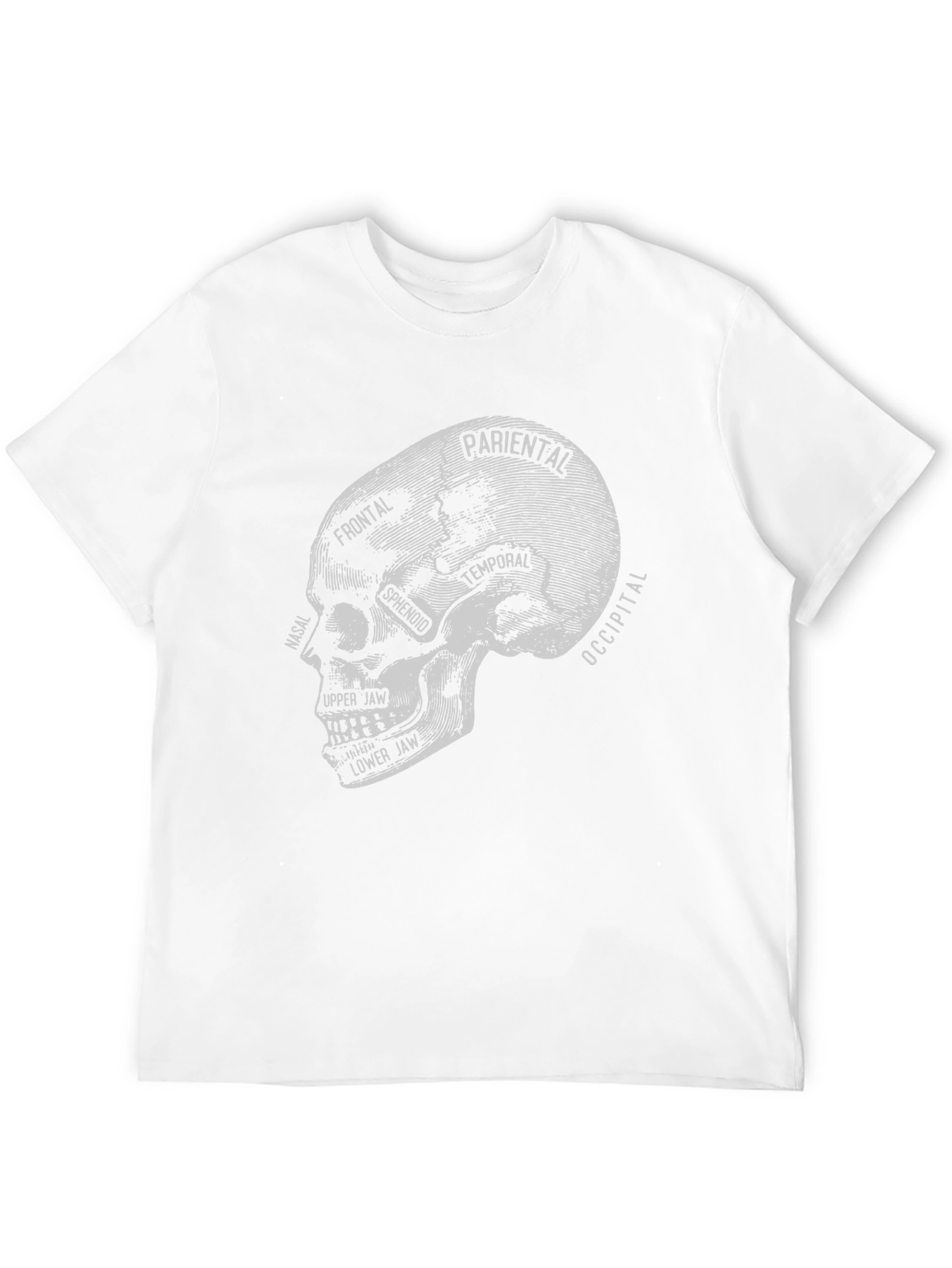 Anatomical Skull T-Shirt - Gothic Halloween Tee