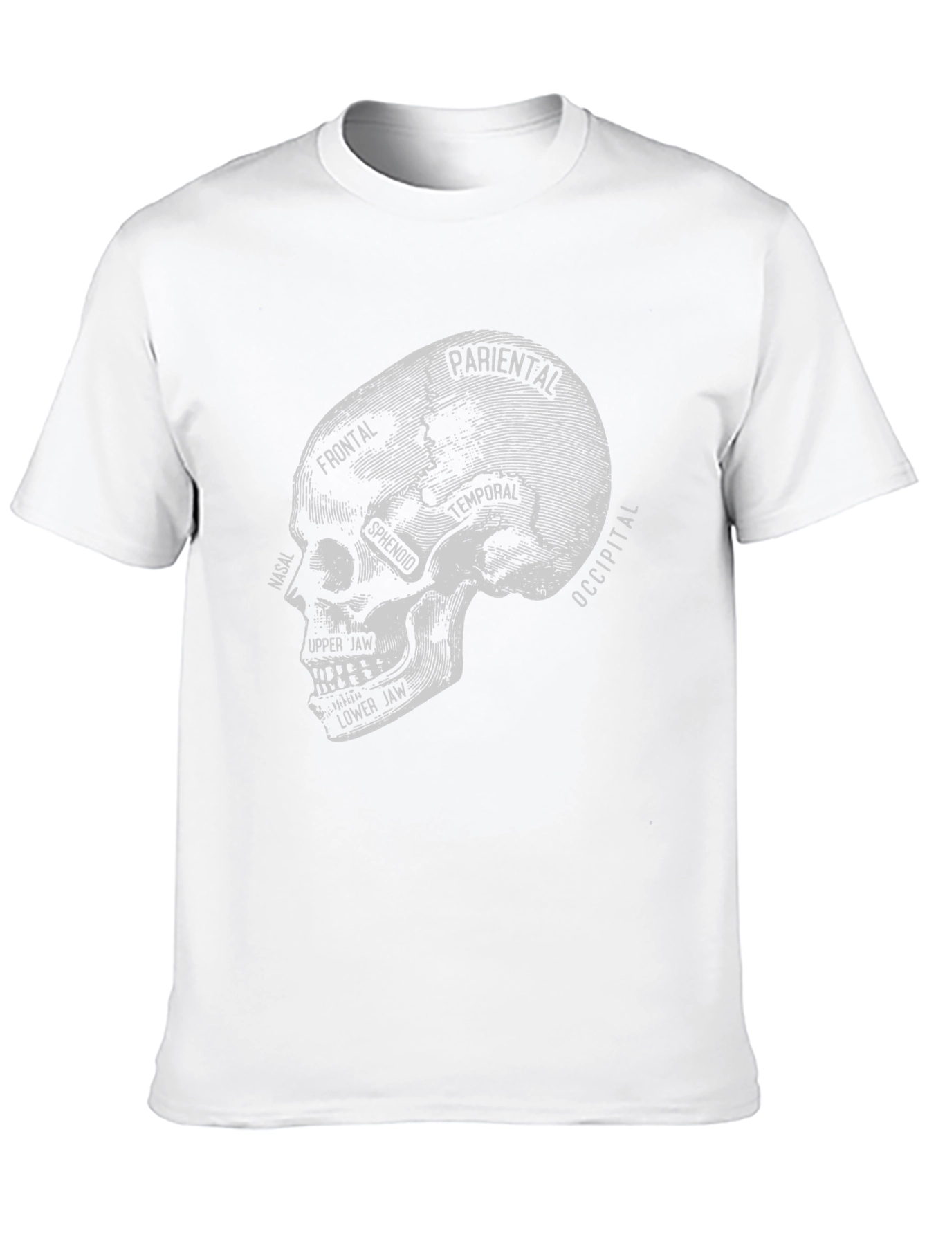 Anatomical Skull T-Shirt - Gothic Halloween Tee