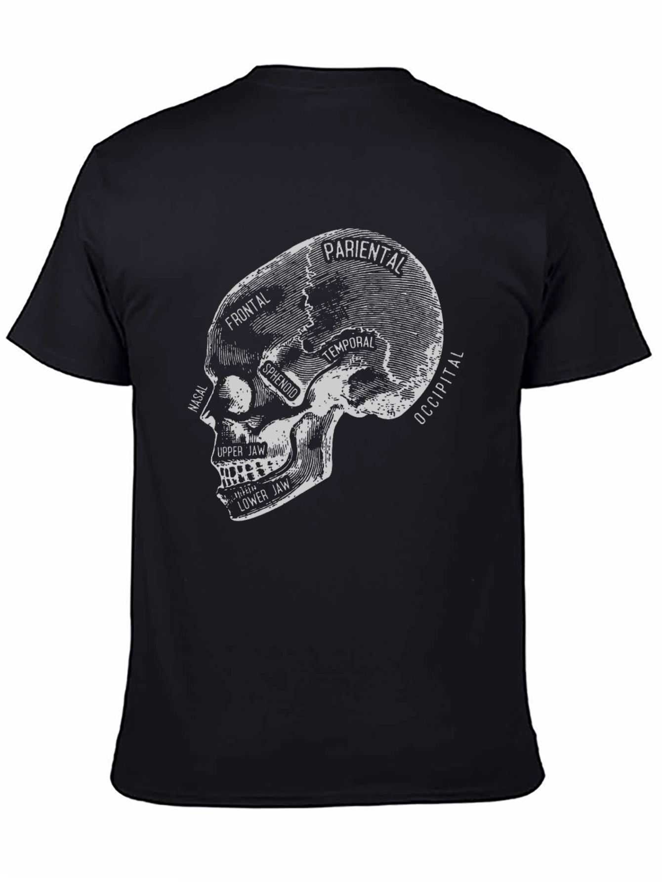 Anatomical Skull T-Shirt - Gothic Halloween Tee
