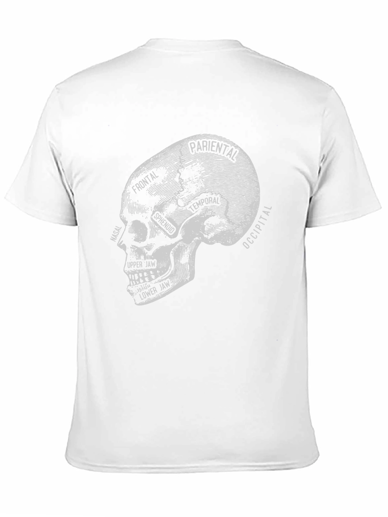 Anatomical Skull T-Shirt - Gothic Halloween Tee