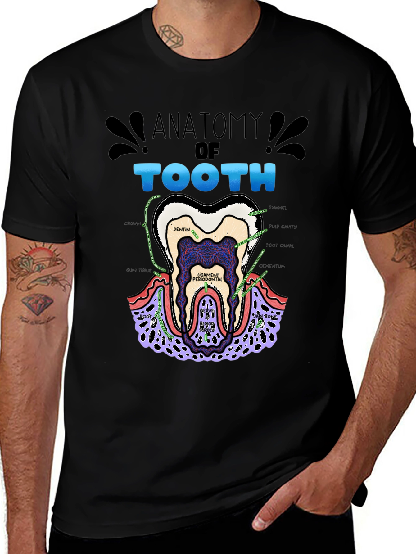 Anatomy of a Tooth Black T-Shirt