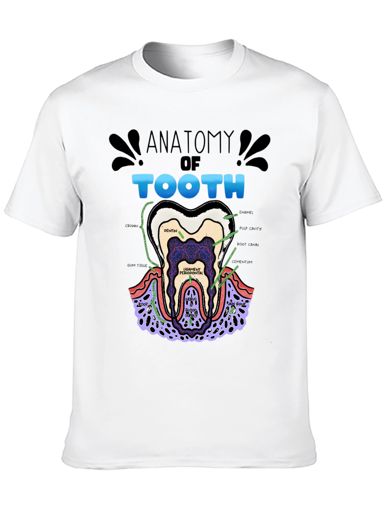 Anatomy of a Tooth Black T-Shirt