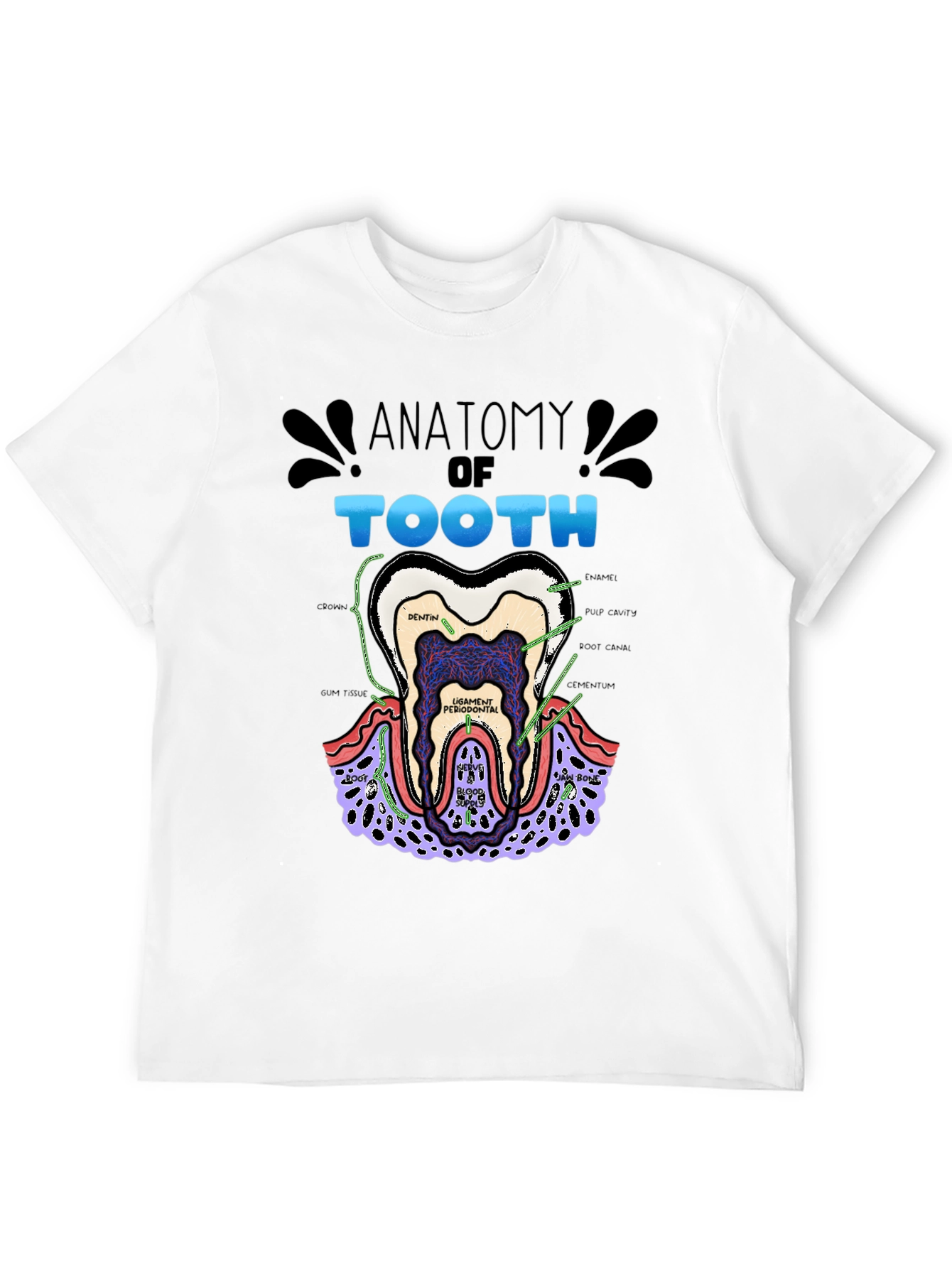 Anatomy of a Tooth Black T-Shirt