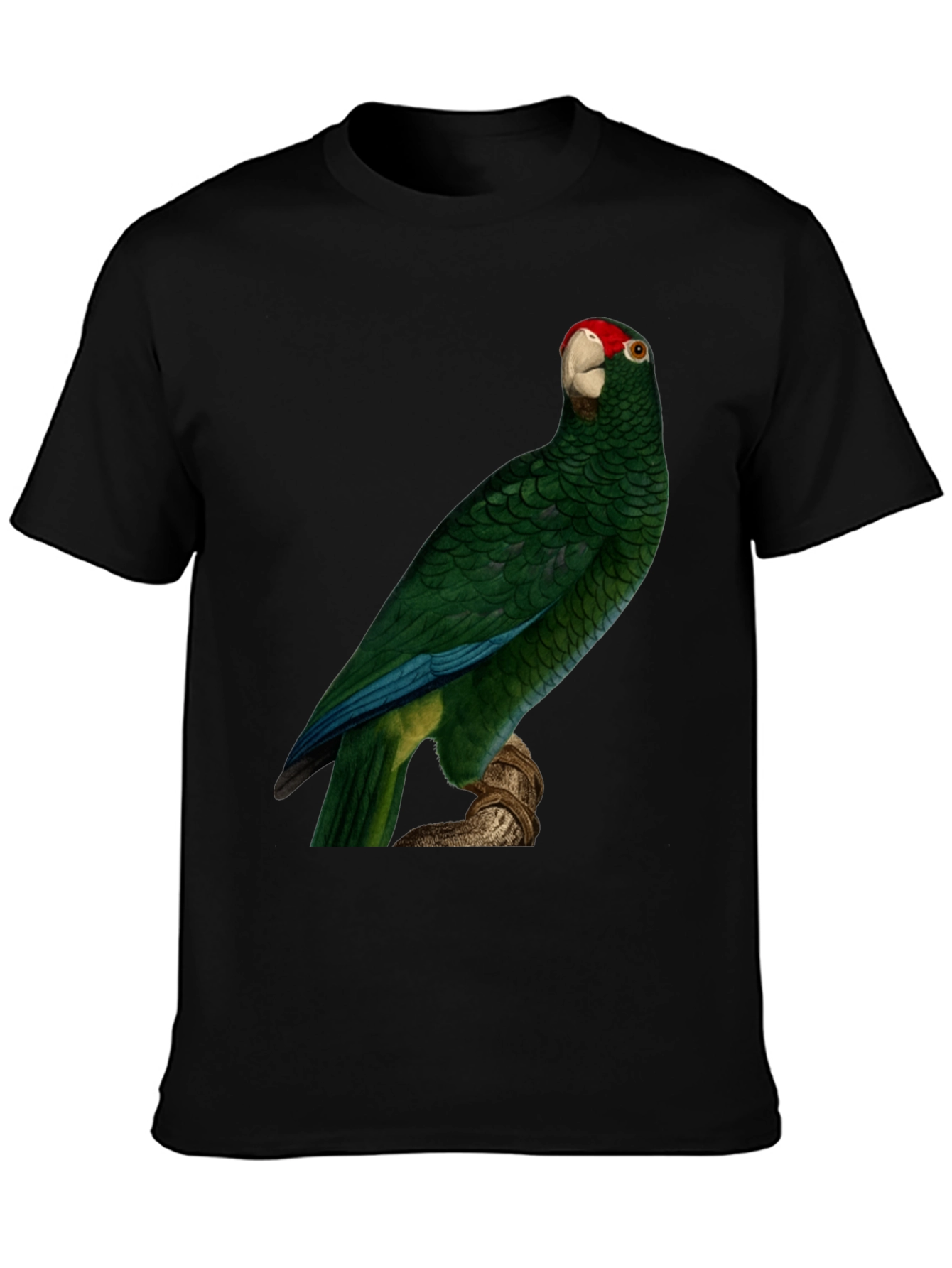 Green Parrot Print T-Shirt