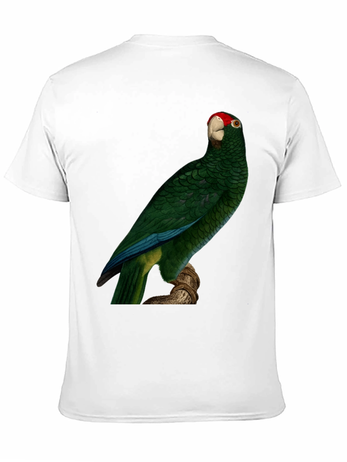 Green Parrot Print T-Shirt